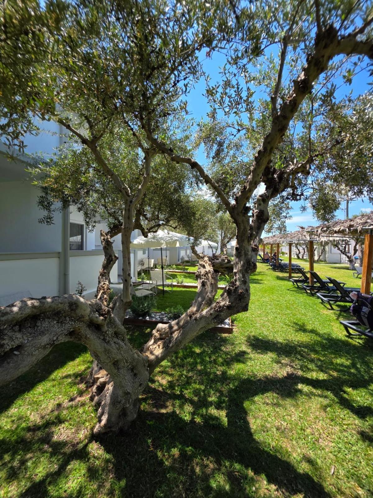 Double Room Garden View