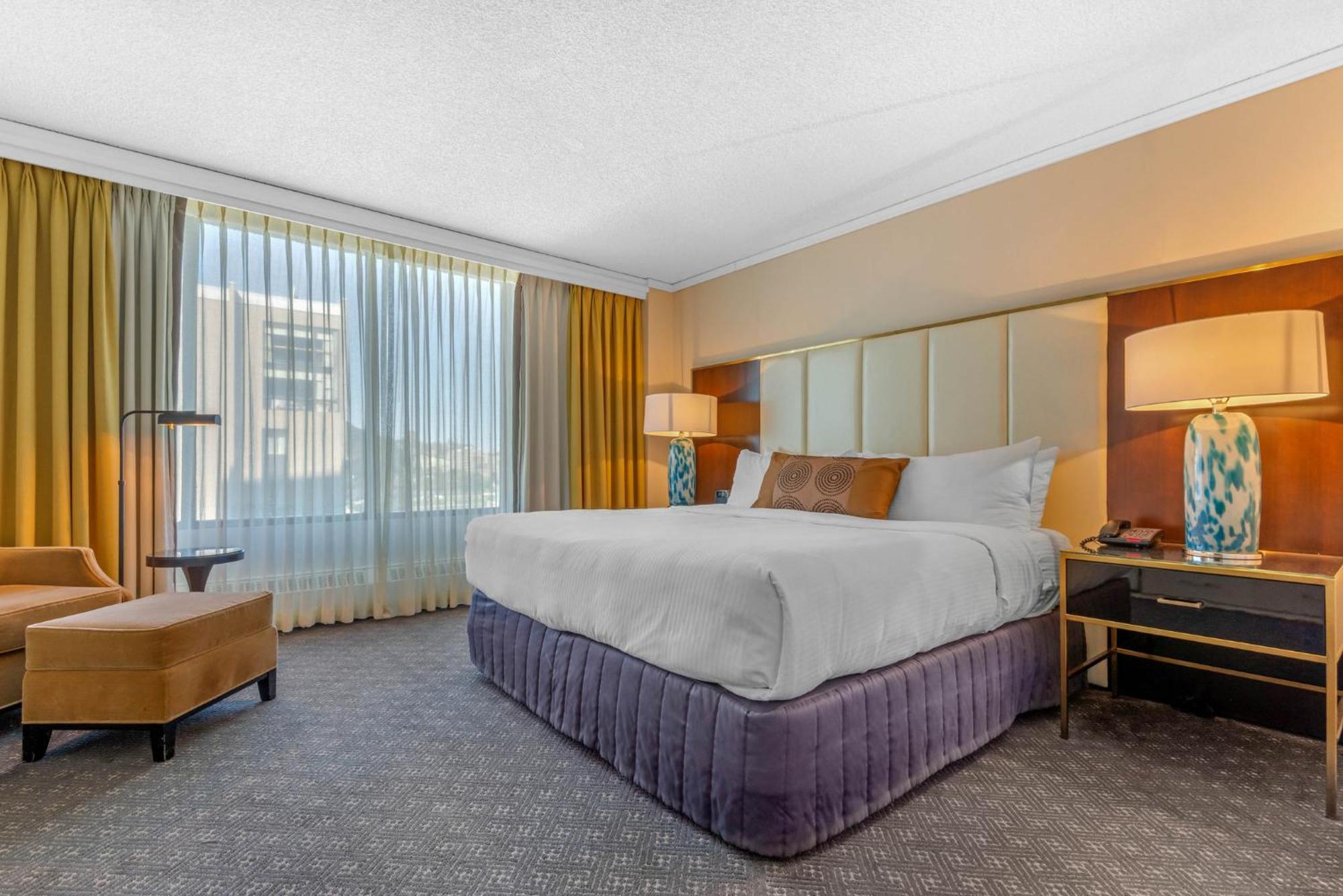 Omni Suite – 1 King bed Sofabed