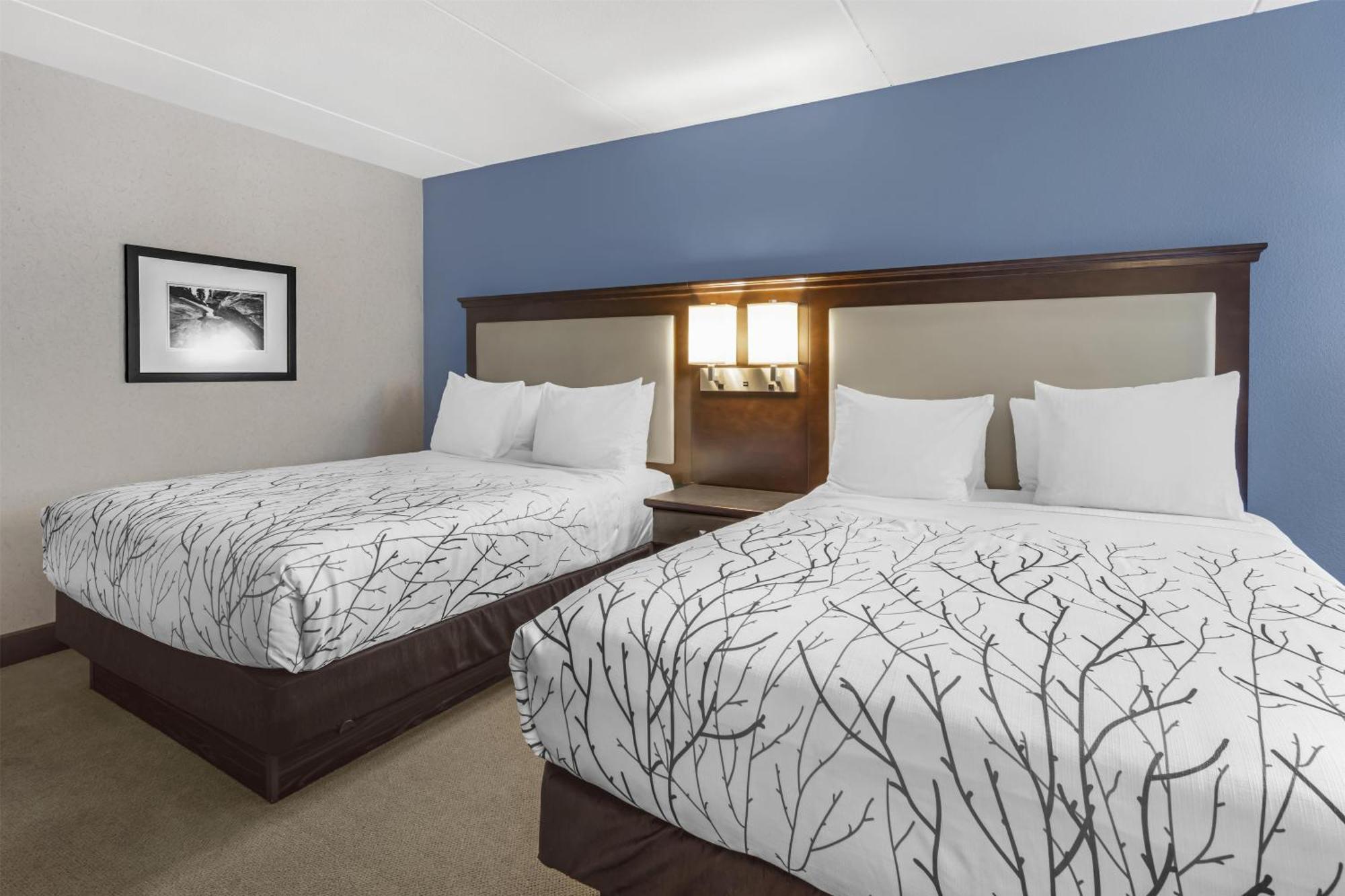 Queen Room Two Queen Beds Non-Smoking
