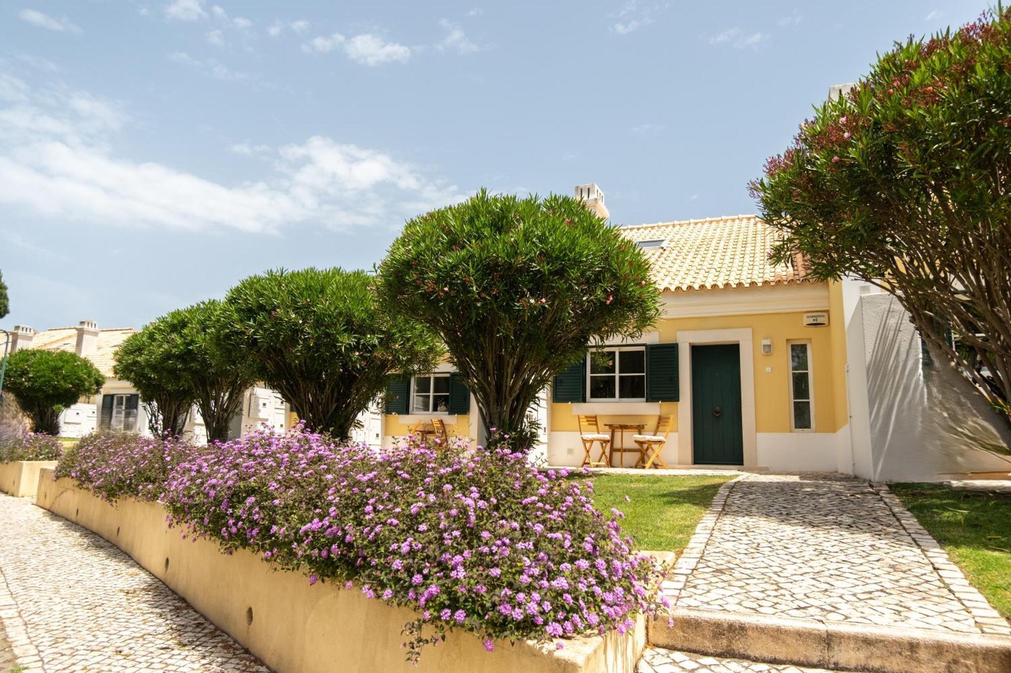 One-Bedroom Villa Duplex up to 12 years old
