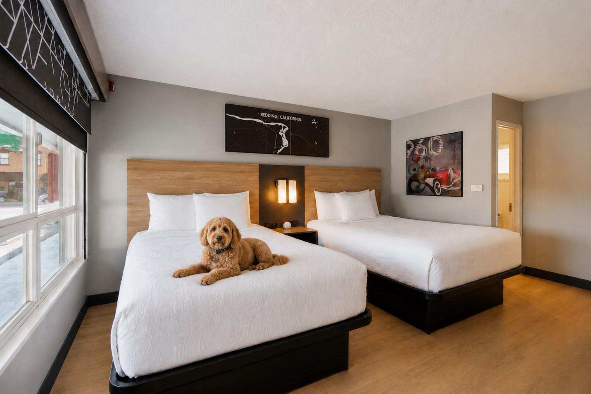 Standard Queen Room with Two Queen Beds - Pet Friendly