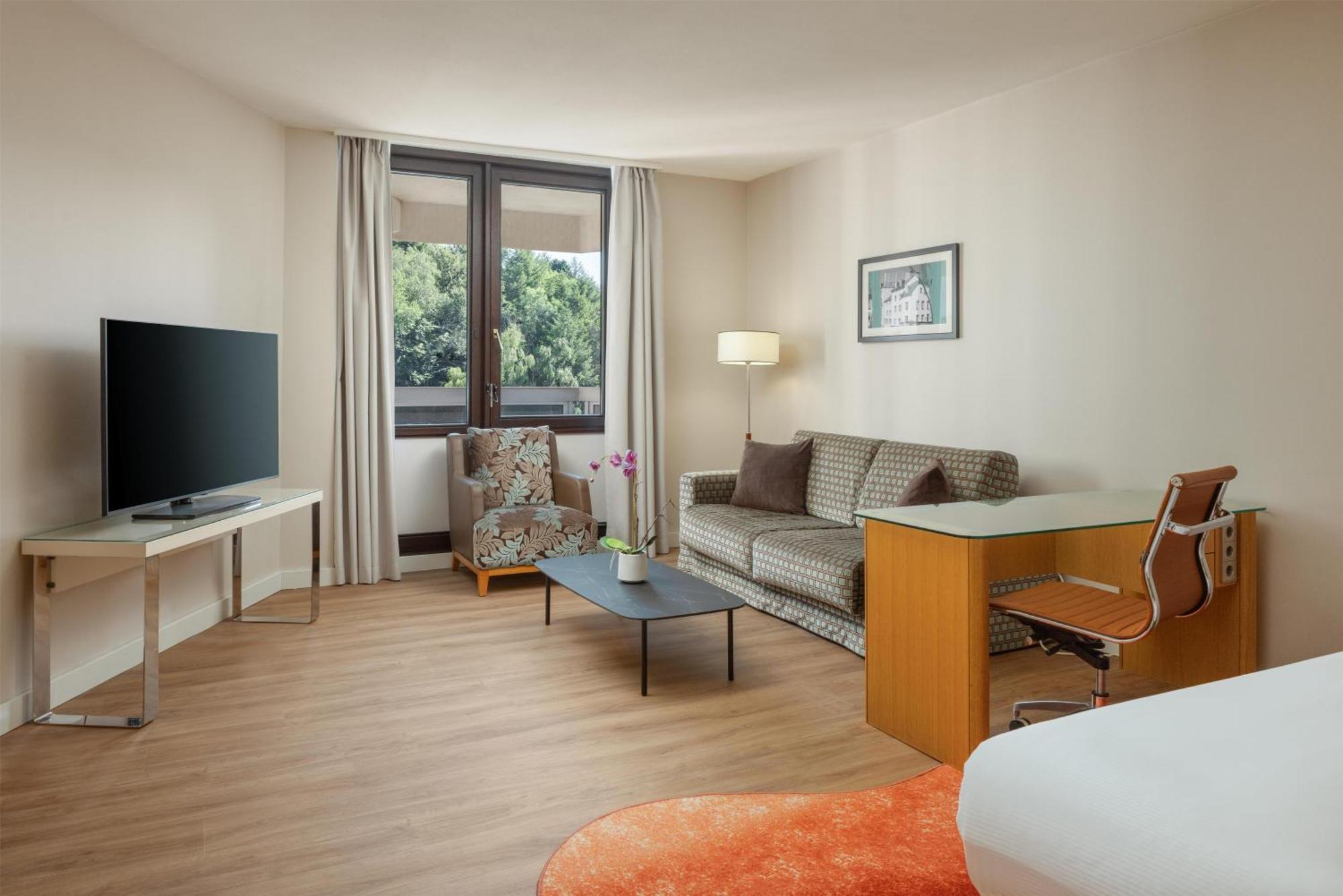 Deluxe King Room