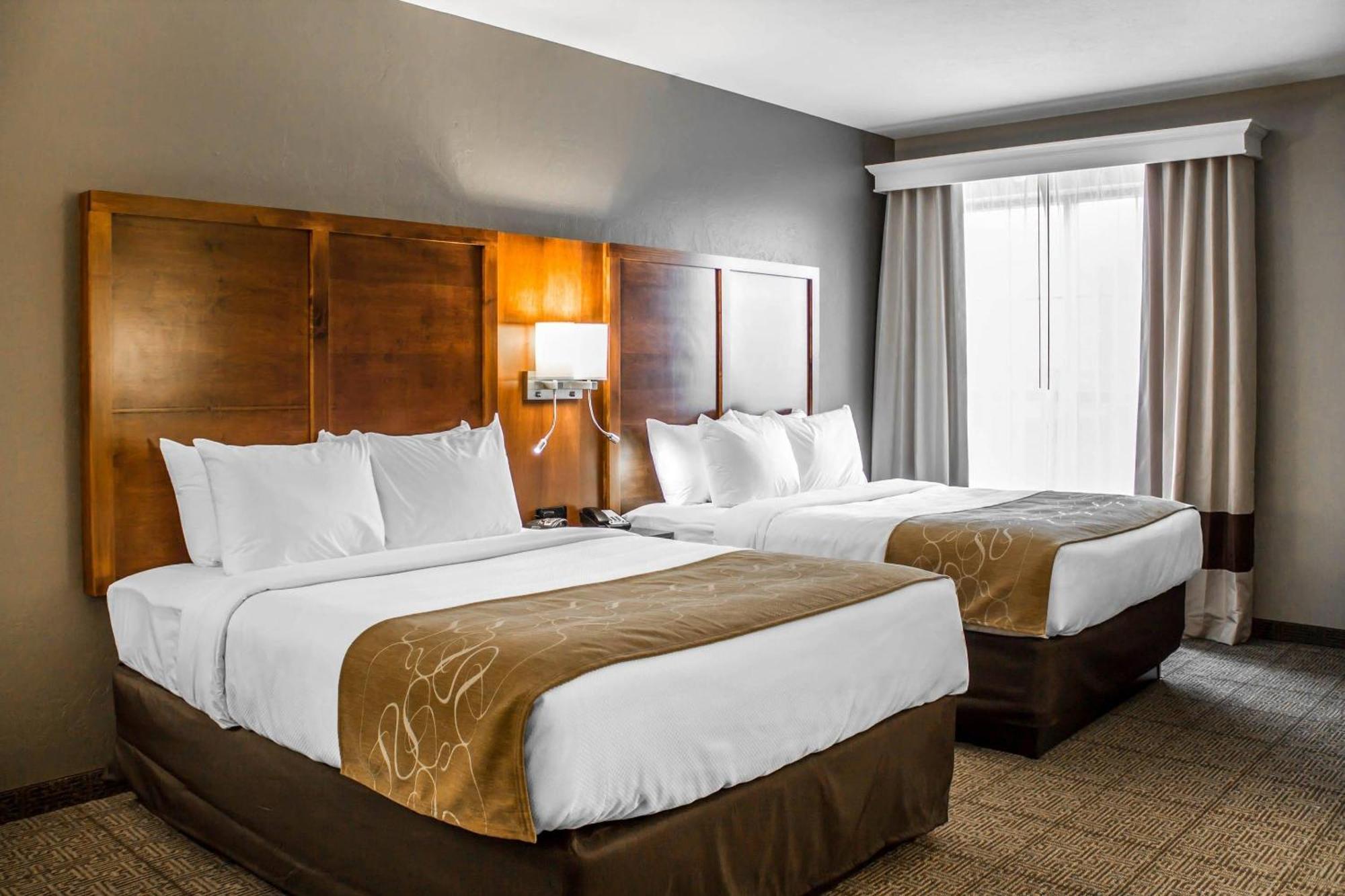 Queen Room Two Queen Beds Suite or Sofa Bed Non-Smoking
