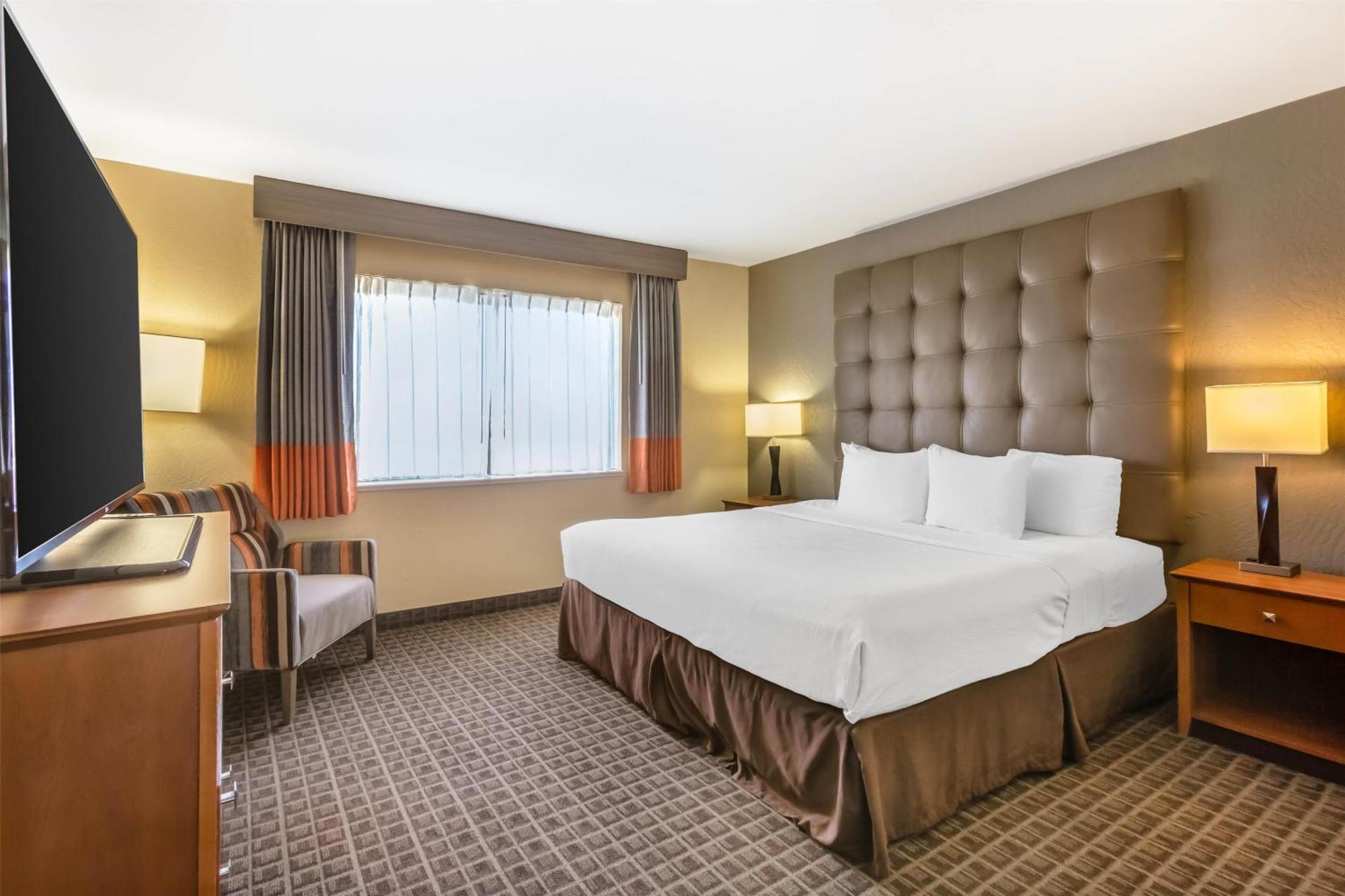 One-Bedroom King Suite