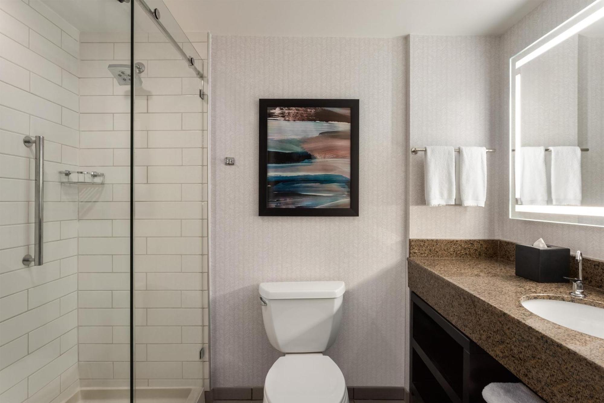 King Suite with Park/City View