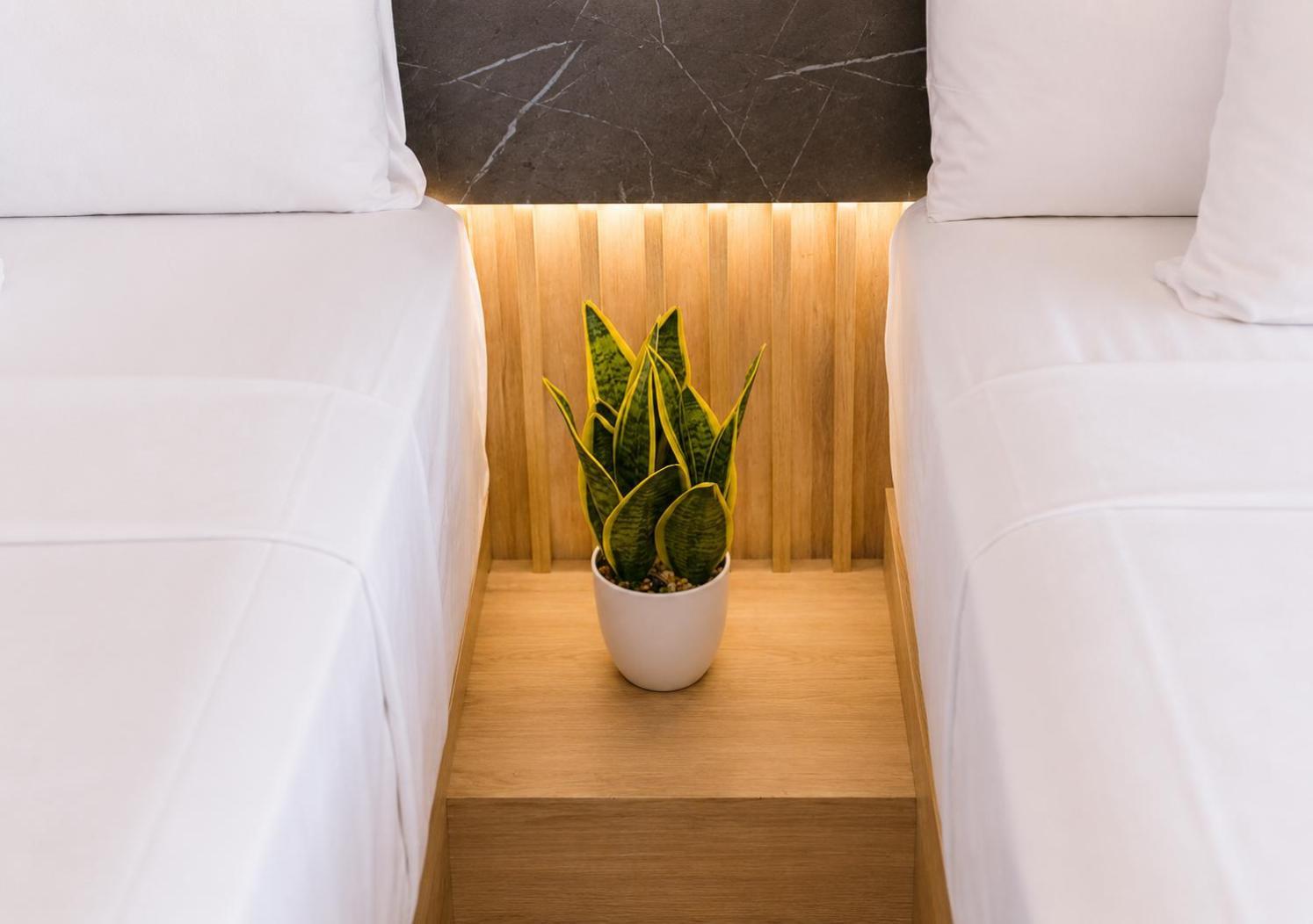 Standard Double or Twin Room