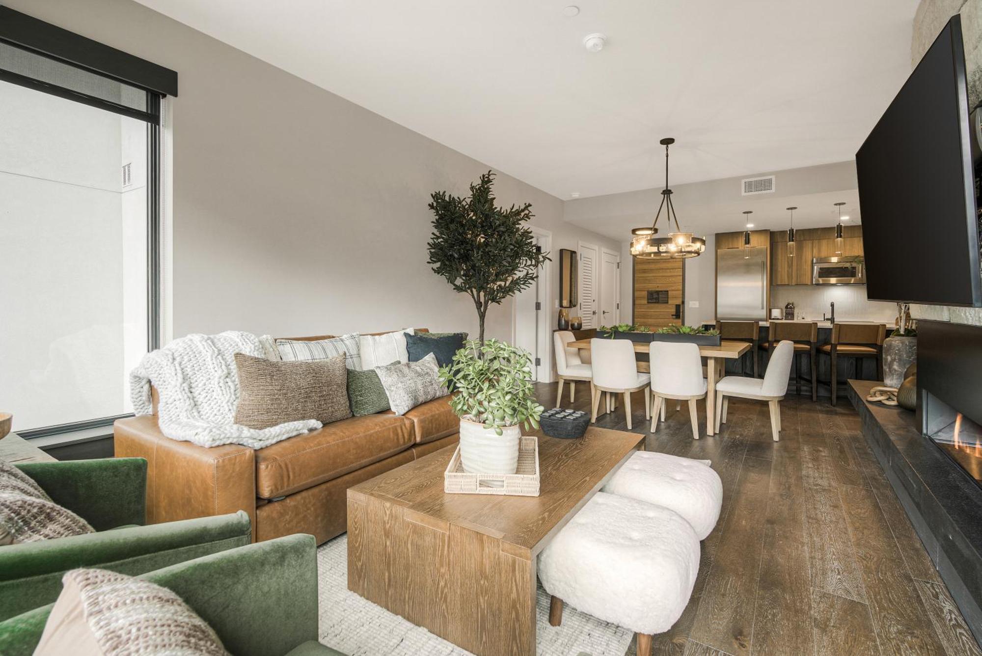 Two-Bedroom Apartment Mountain View