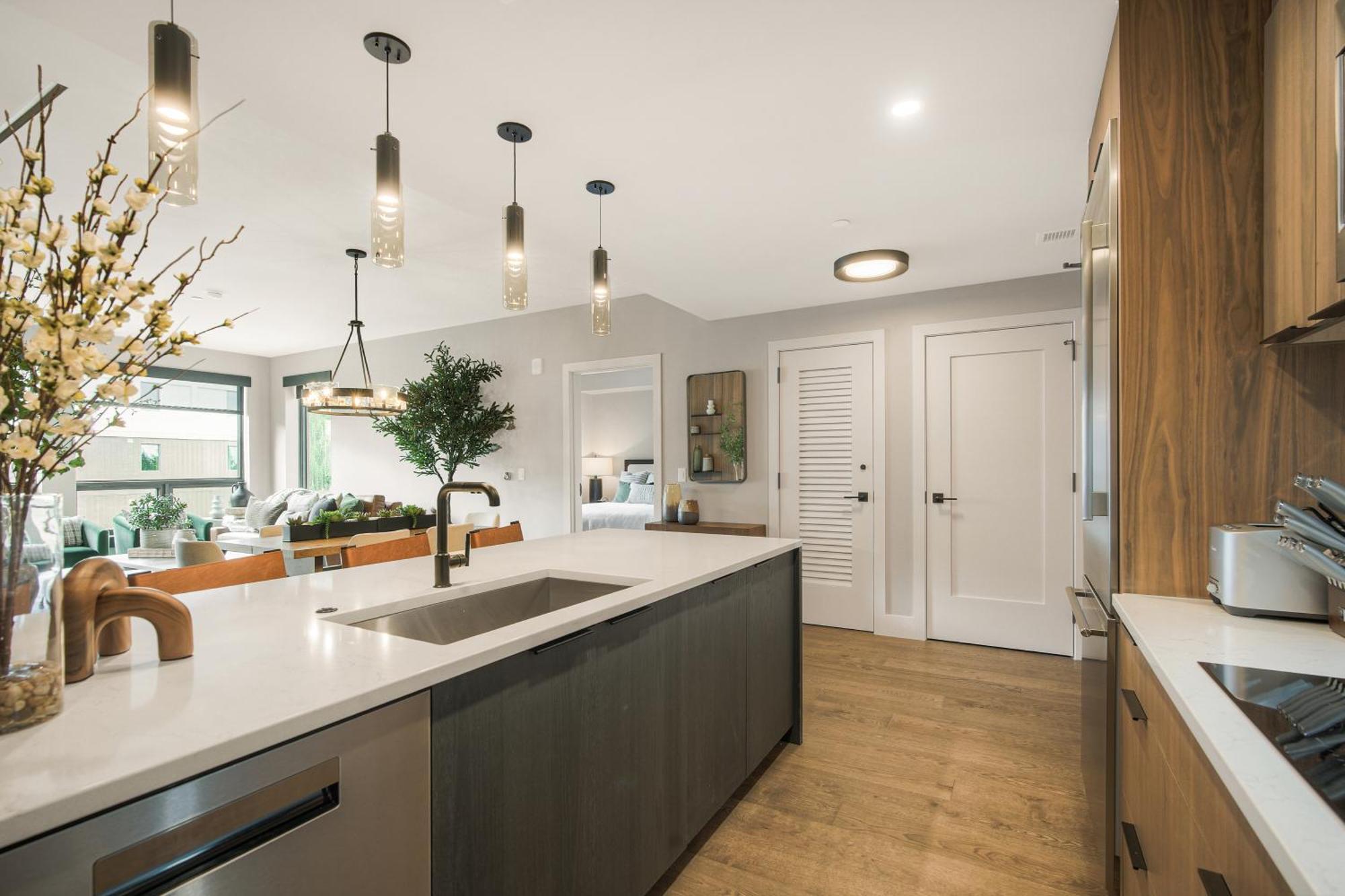 Two-Bedroom Apartment Mountain View