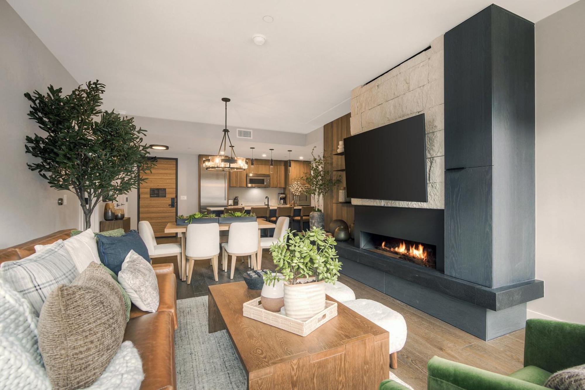 Two-Bedroom Apartment Mountain View