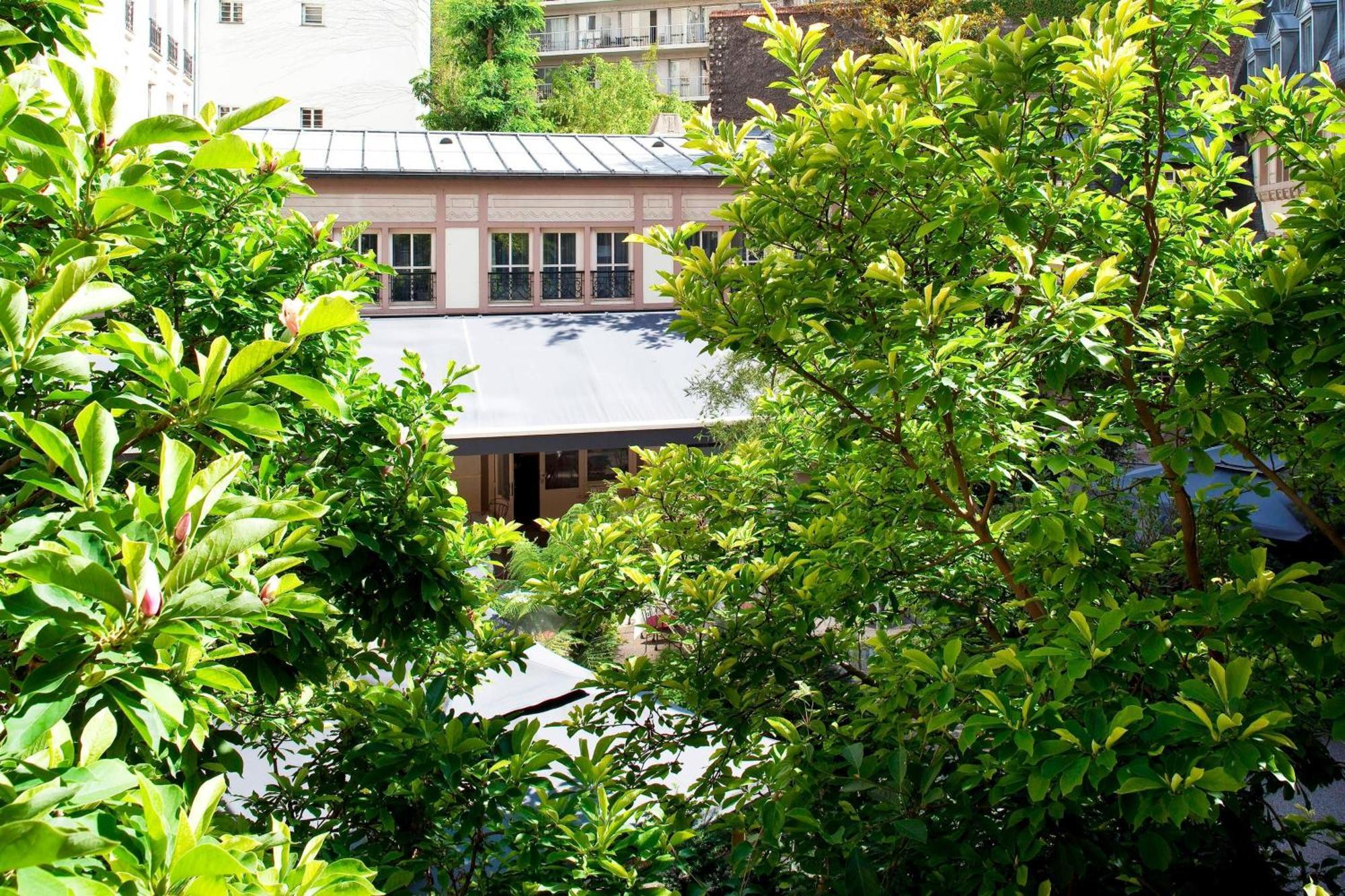 Deluxe King Room Garden View