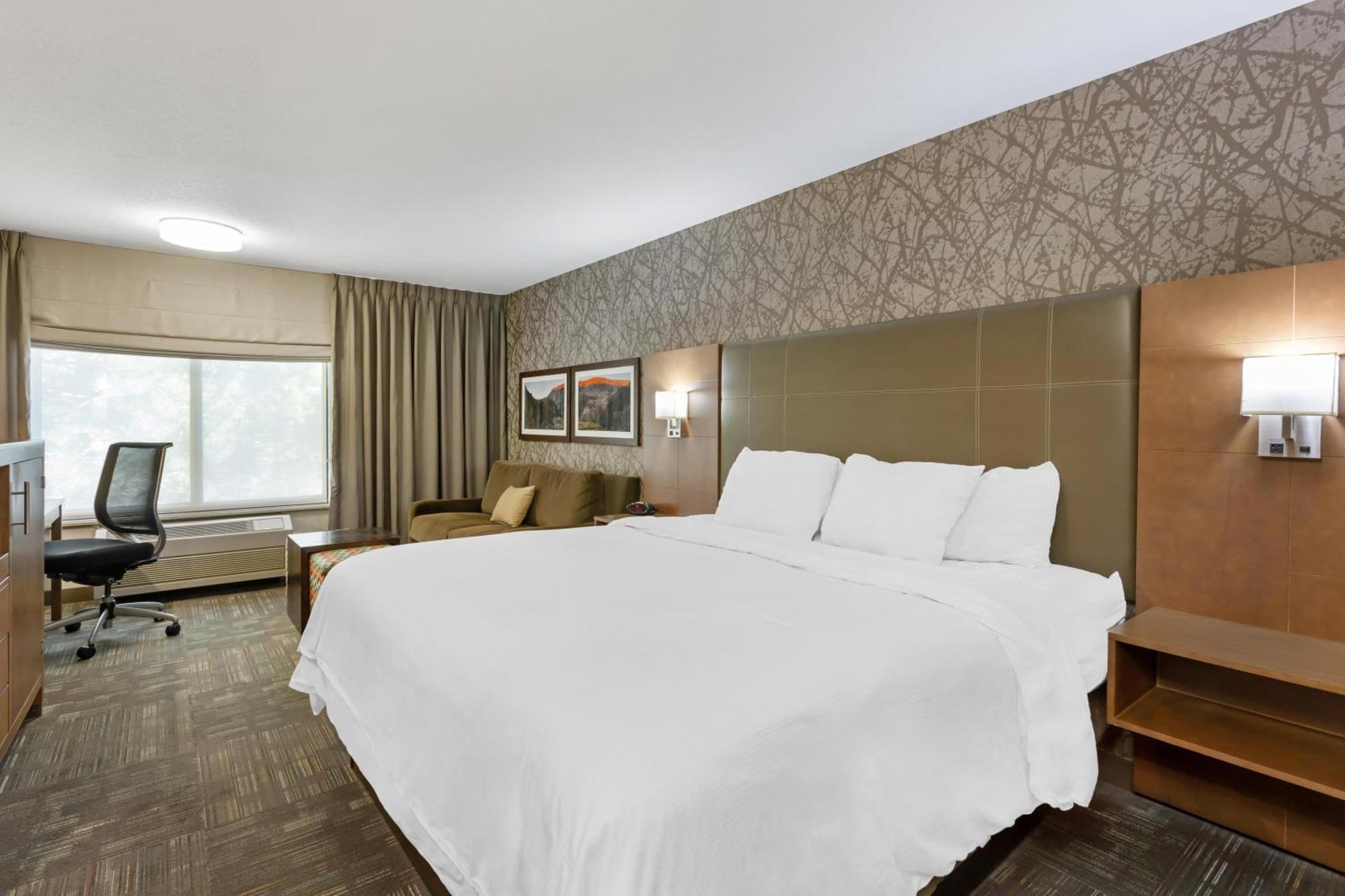 King Room Sofa Bed