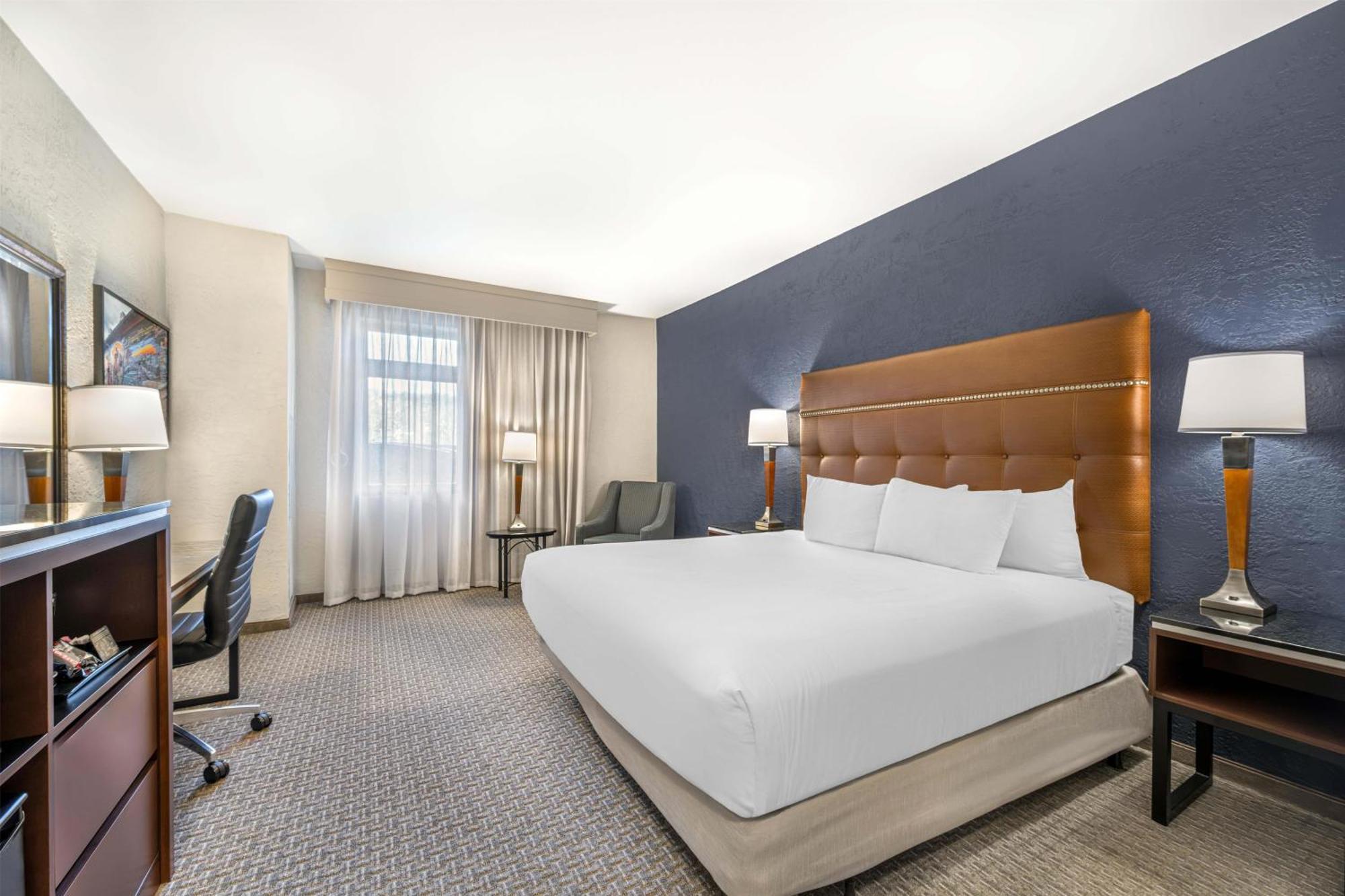 Deluxe King Room Accessible Roll Shower