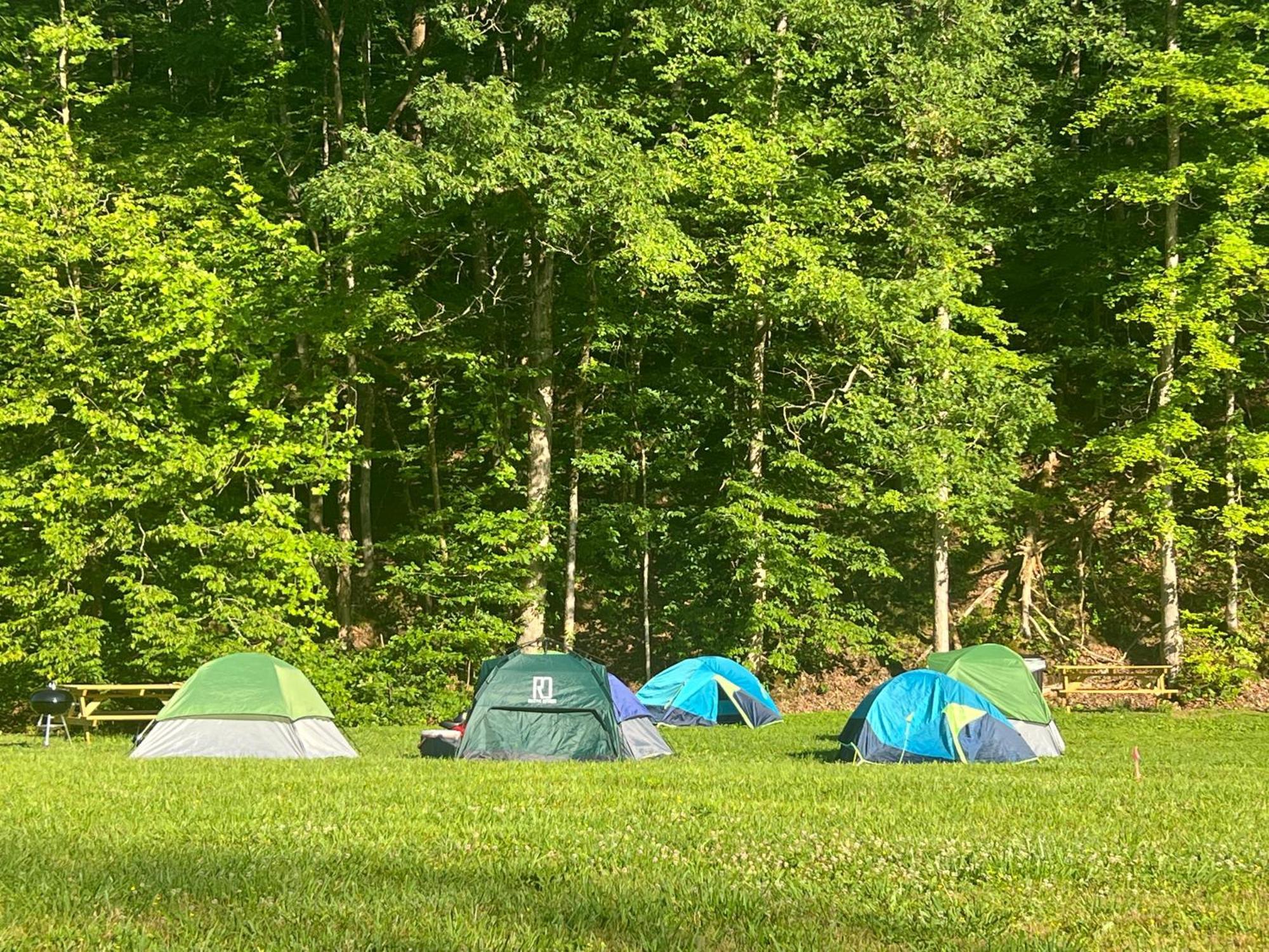 Tent
