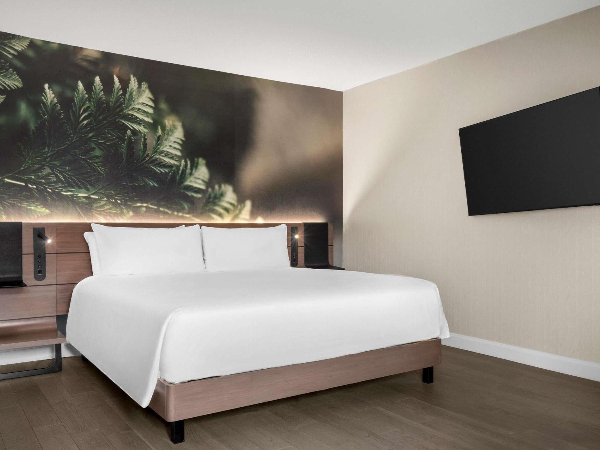 Executive Junior Suite