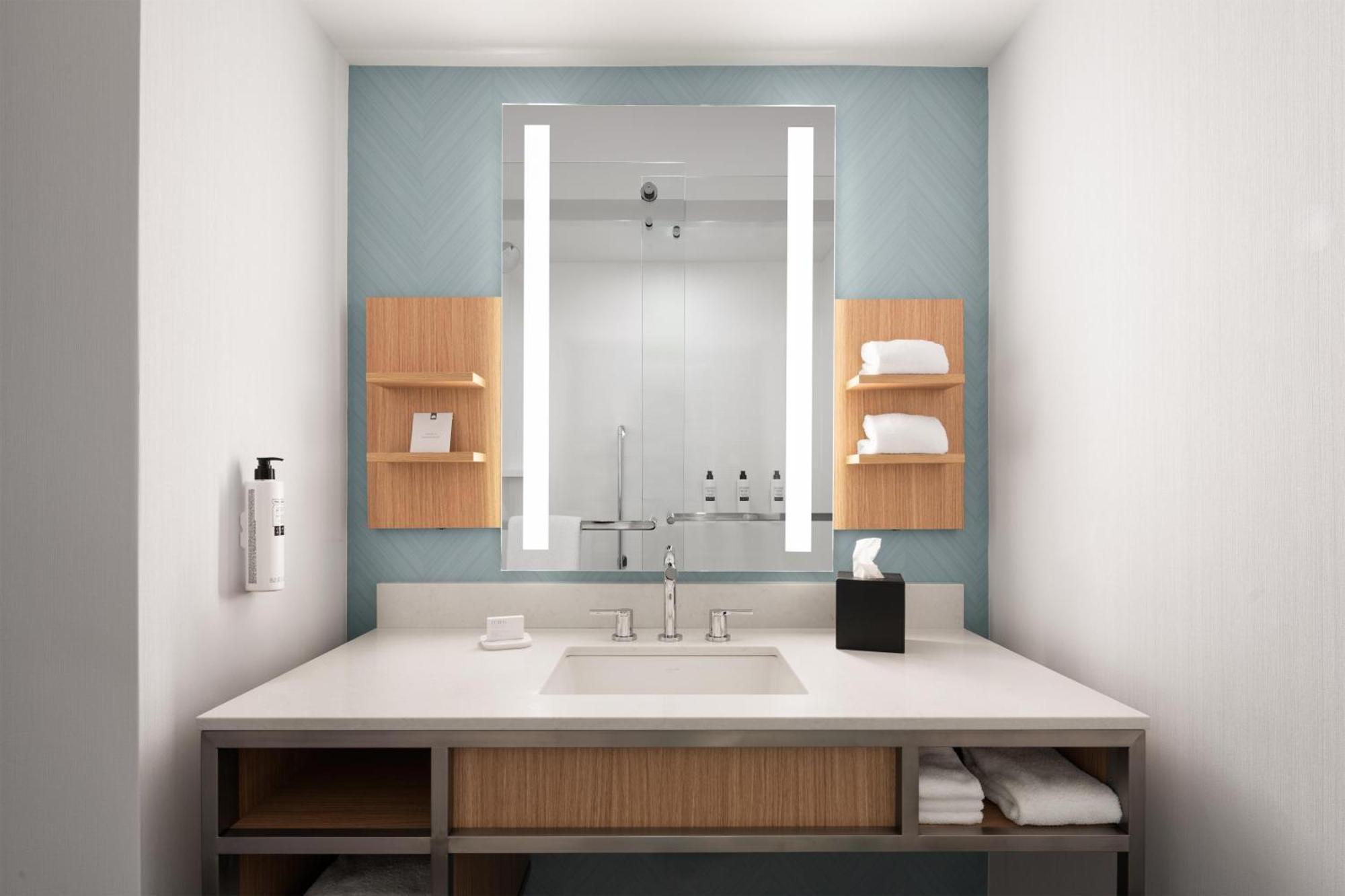 King Room Roll Shower Mobility or Hearing Accessible