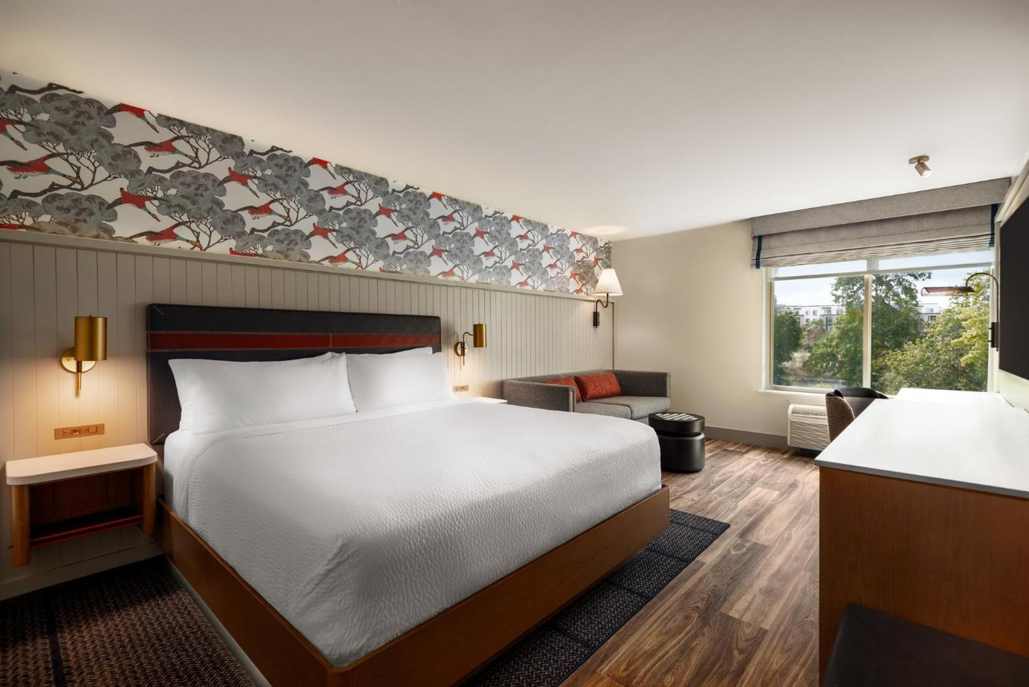Standard King Room Sofa Bed Park View