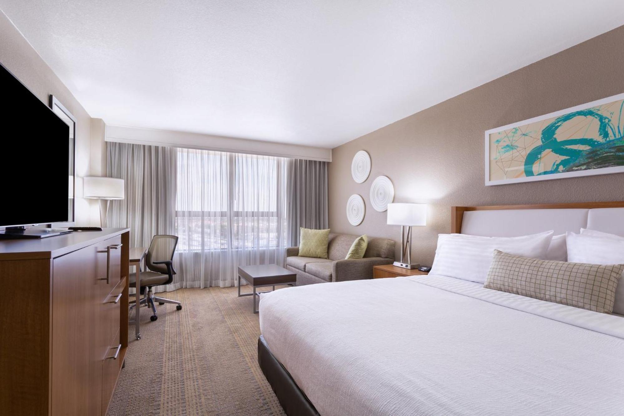 Standard King Room Sofa Bed