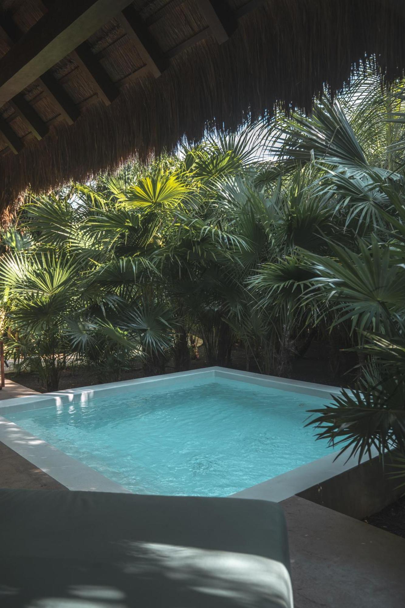 Treetop Pool Villa