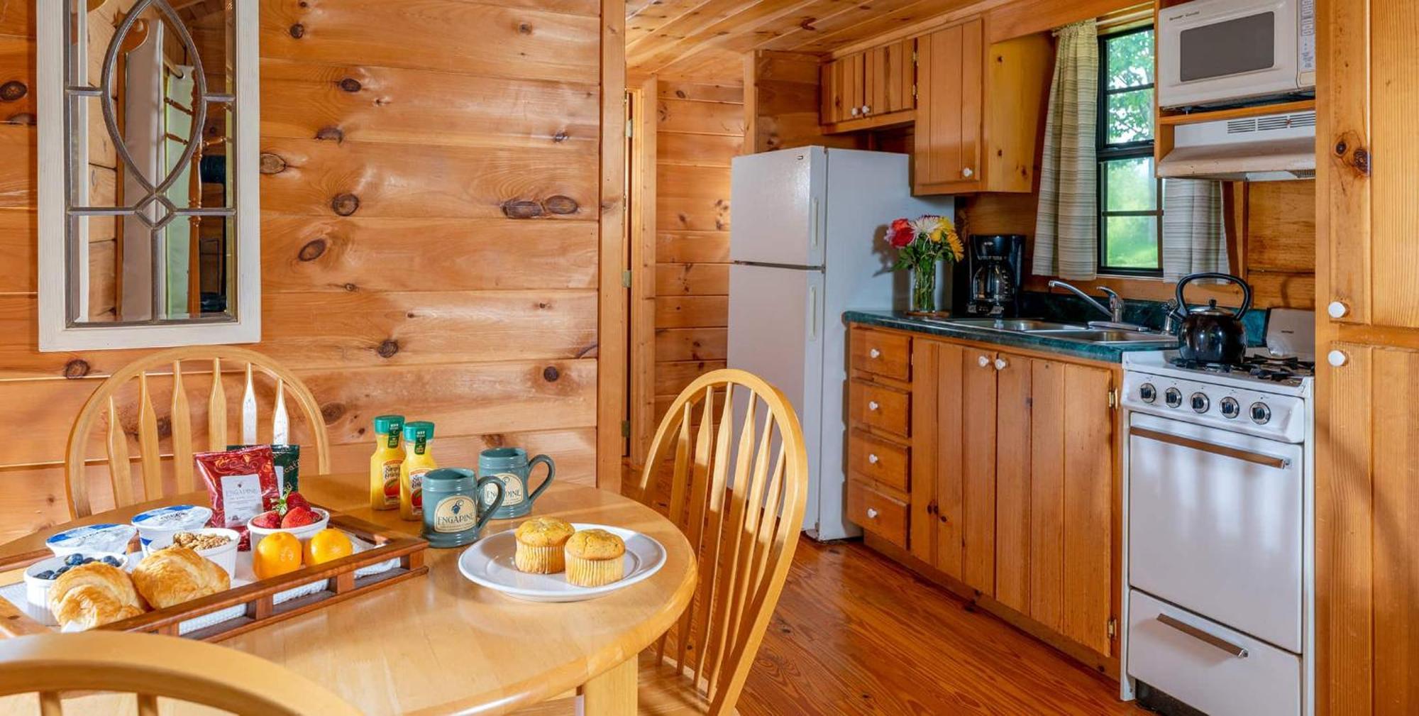 Smoky Mountains Cabin Family Friendly Pet Friendly No