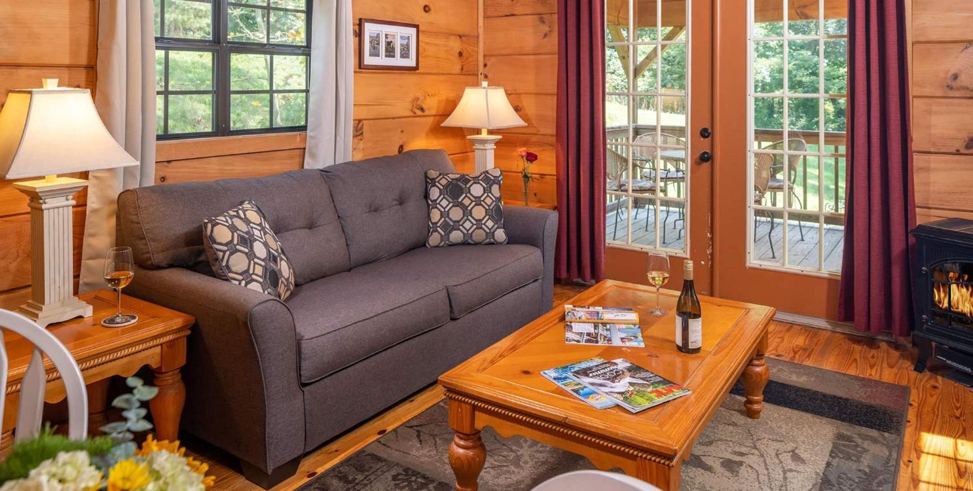 Blue Ridge Mountains Cabin Family Friendly Pet Friendly Not