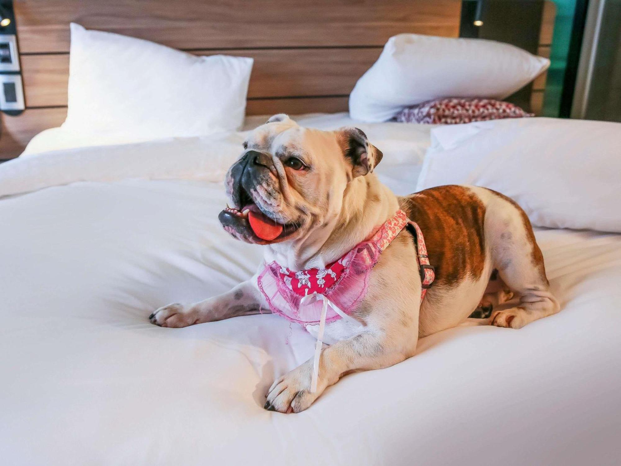 Superior Room Double Bed