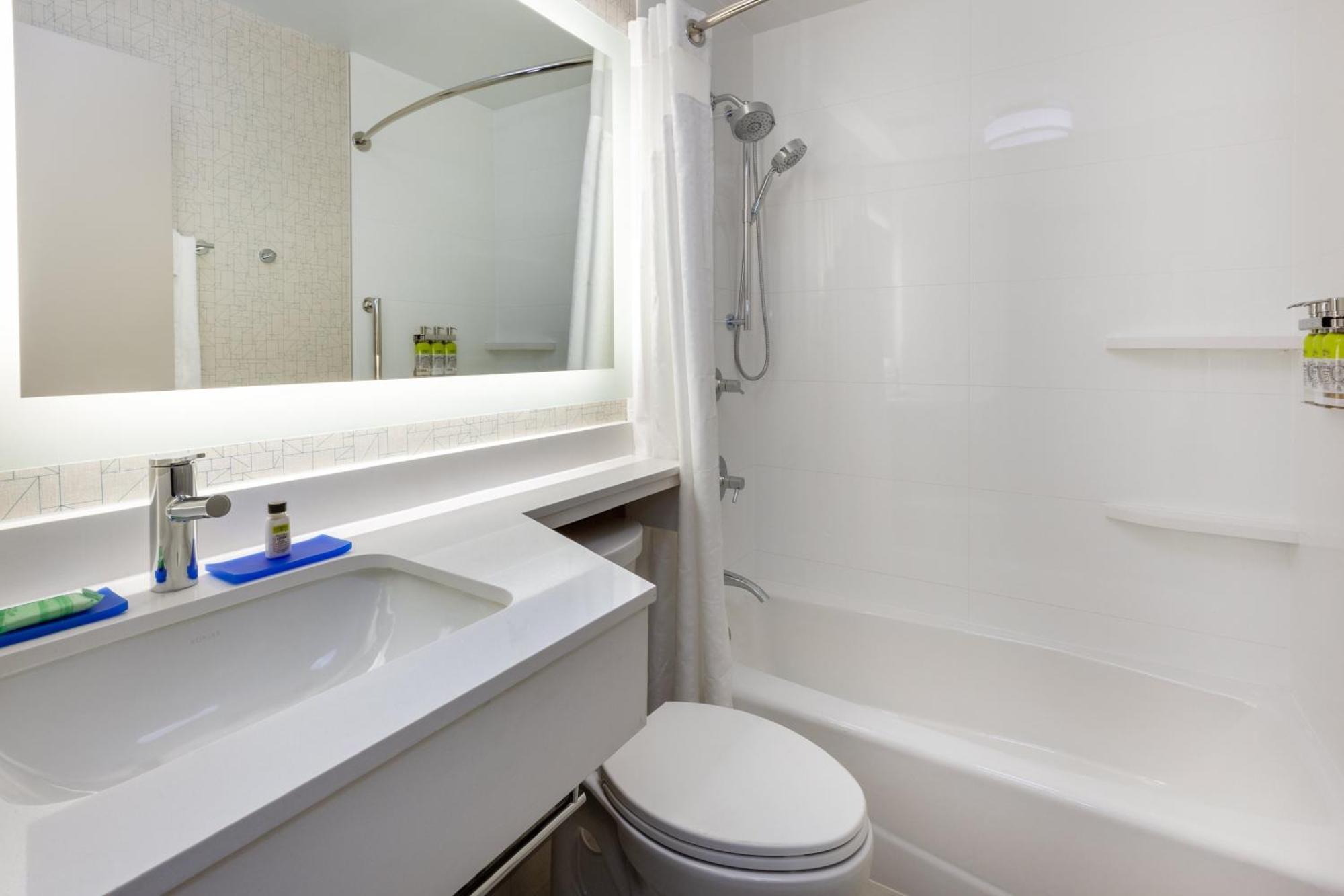 King Room Hearing Accessible Roll Shower