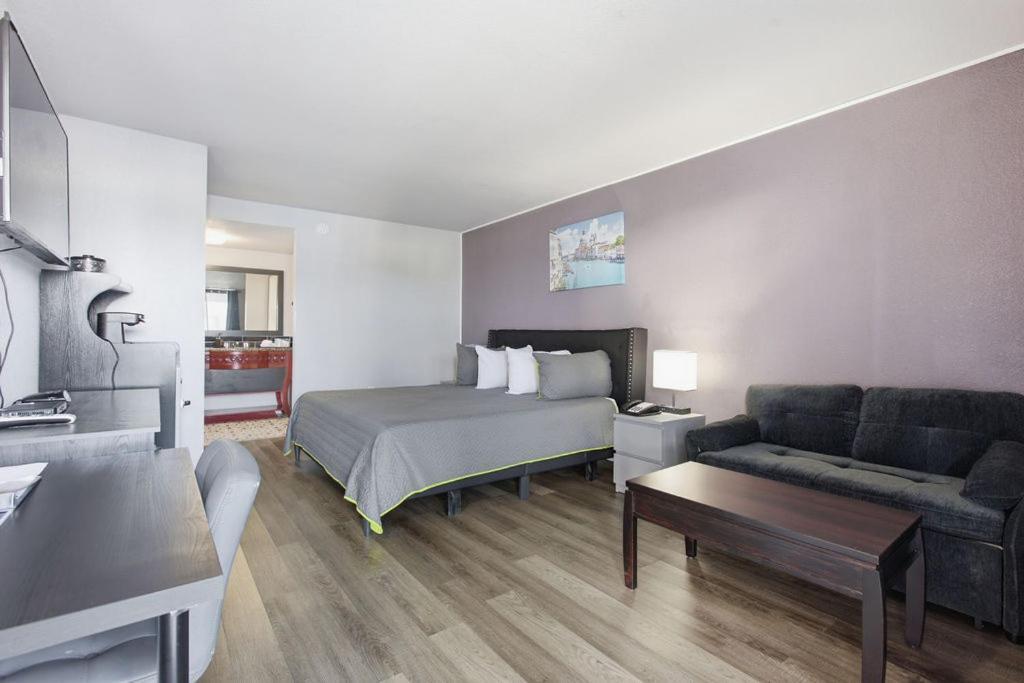Premium King Suite