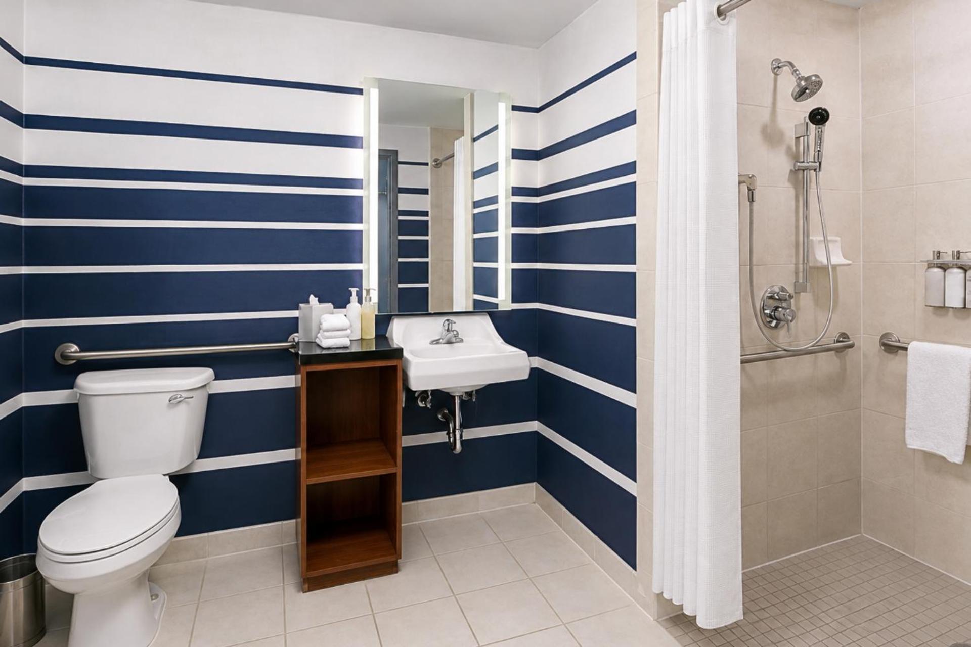 King Room Roll Shower Disability Access