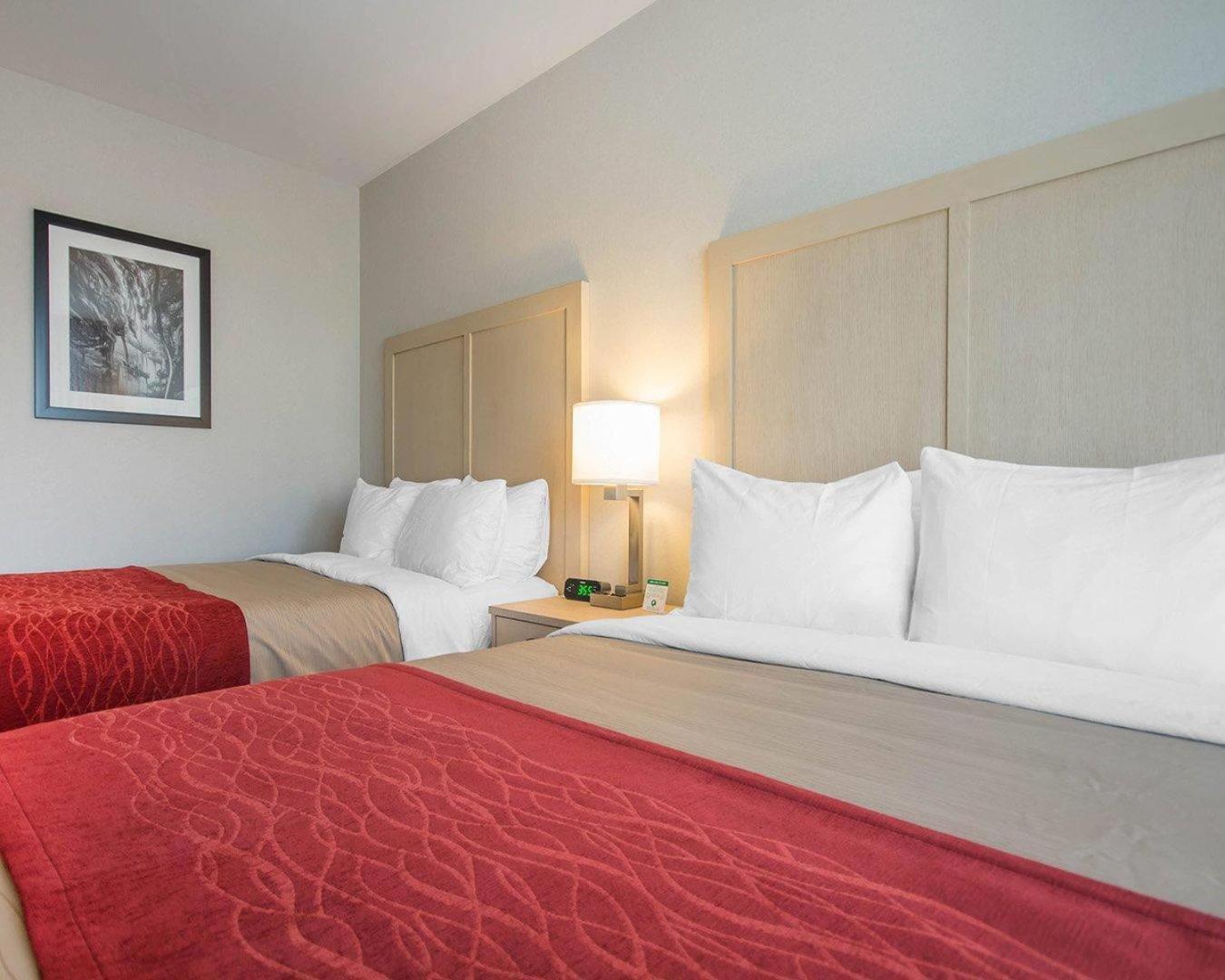 Standard Queen Room Two Queen Beds