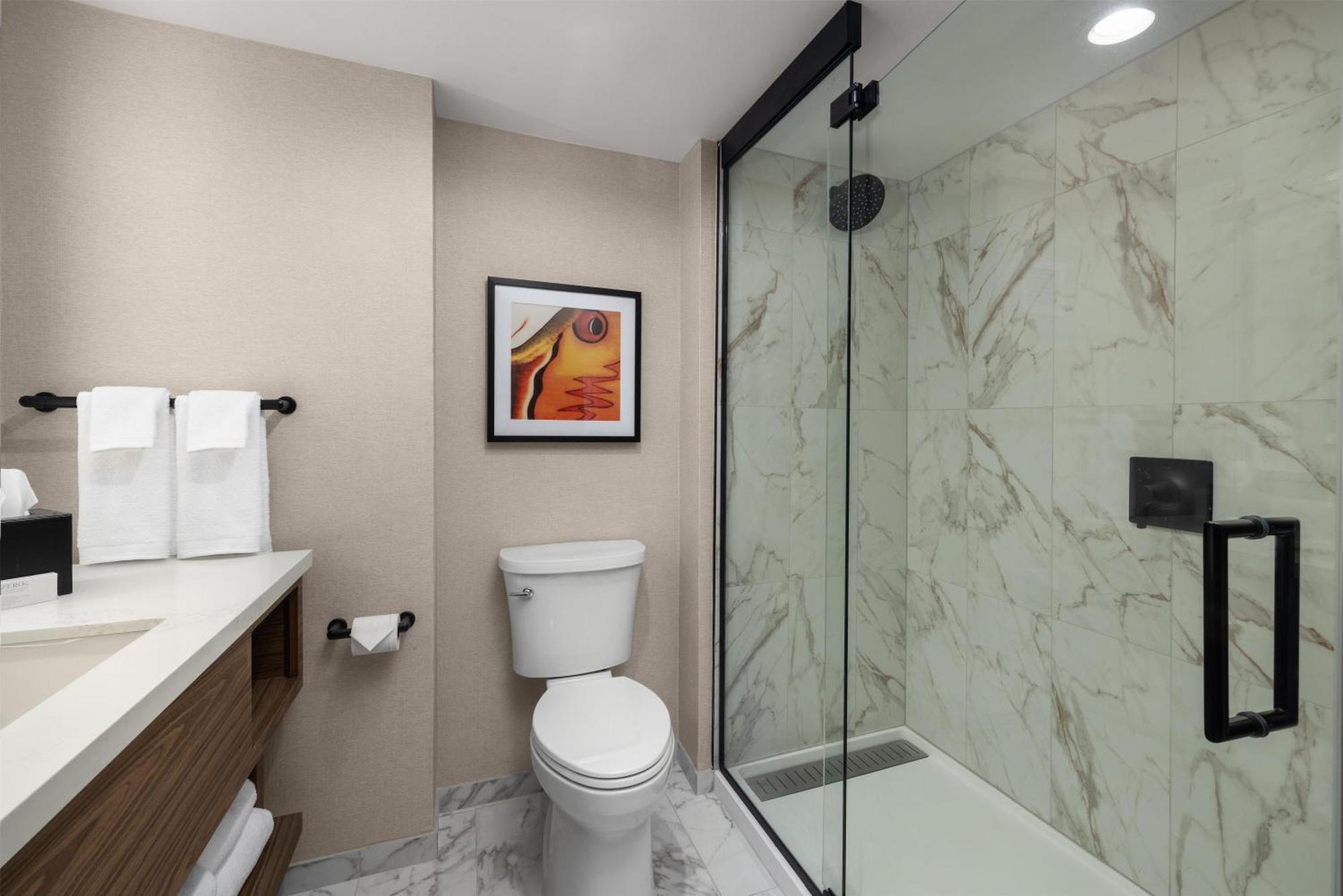 Two-Room King Suite Non-Smoking