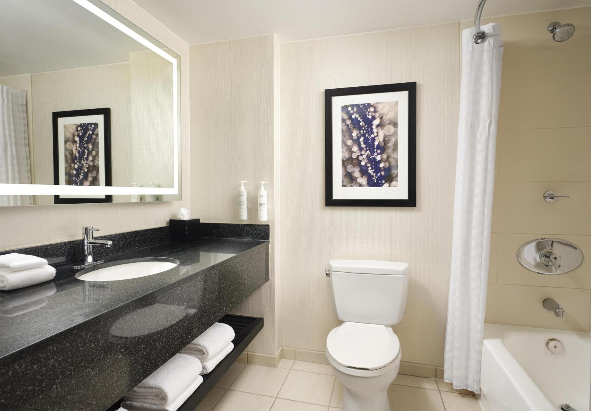 Two-Room King Suite Non-Smoking