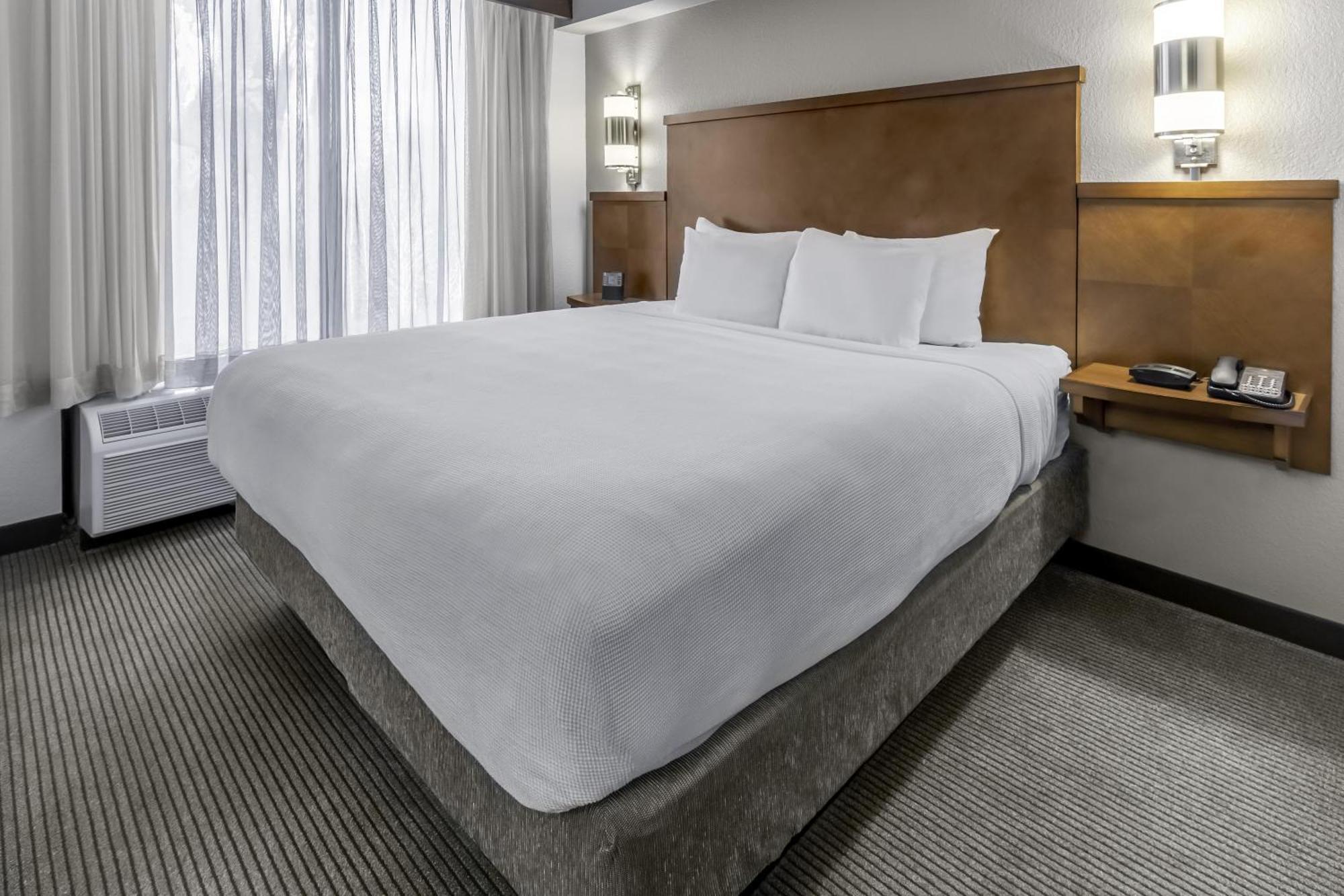 Specialty King Room Sofa Bed