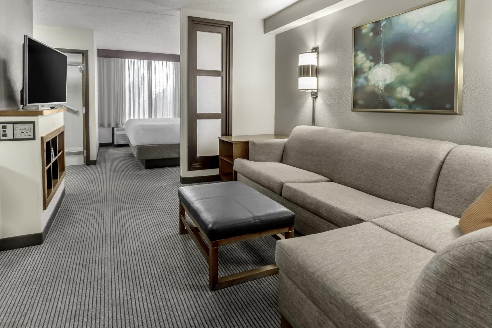 Specialty King Room Sofa Bed