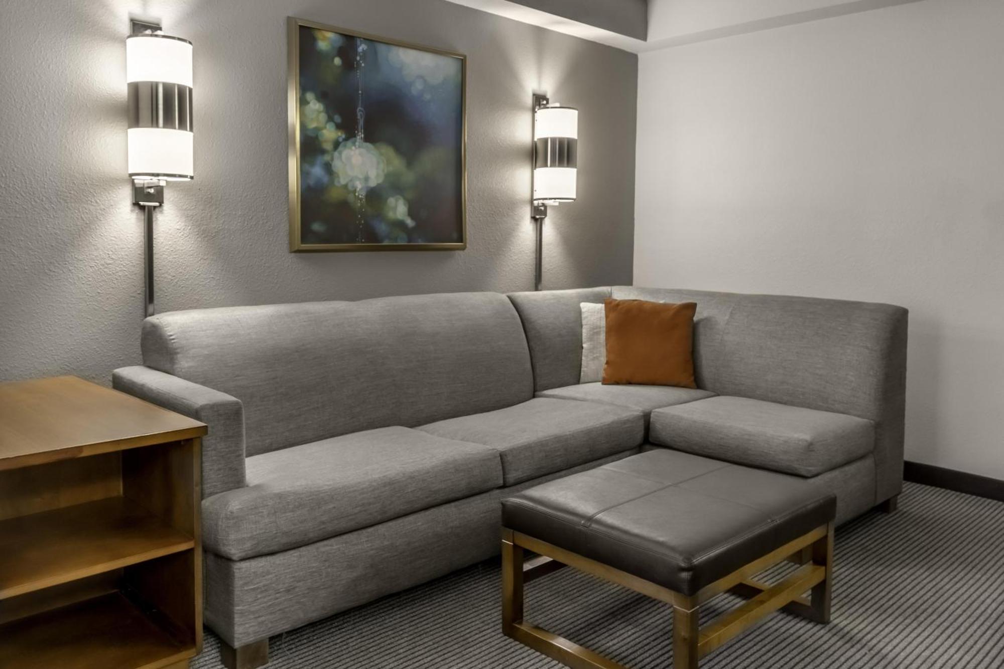 Specialty King Room Sofa Bed