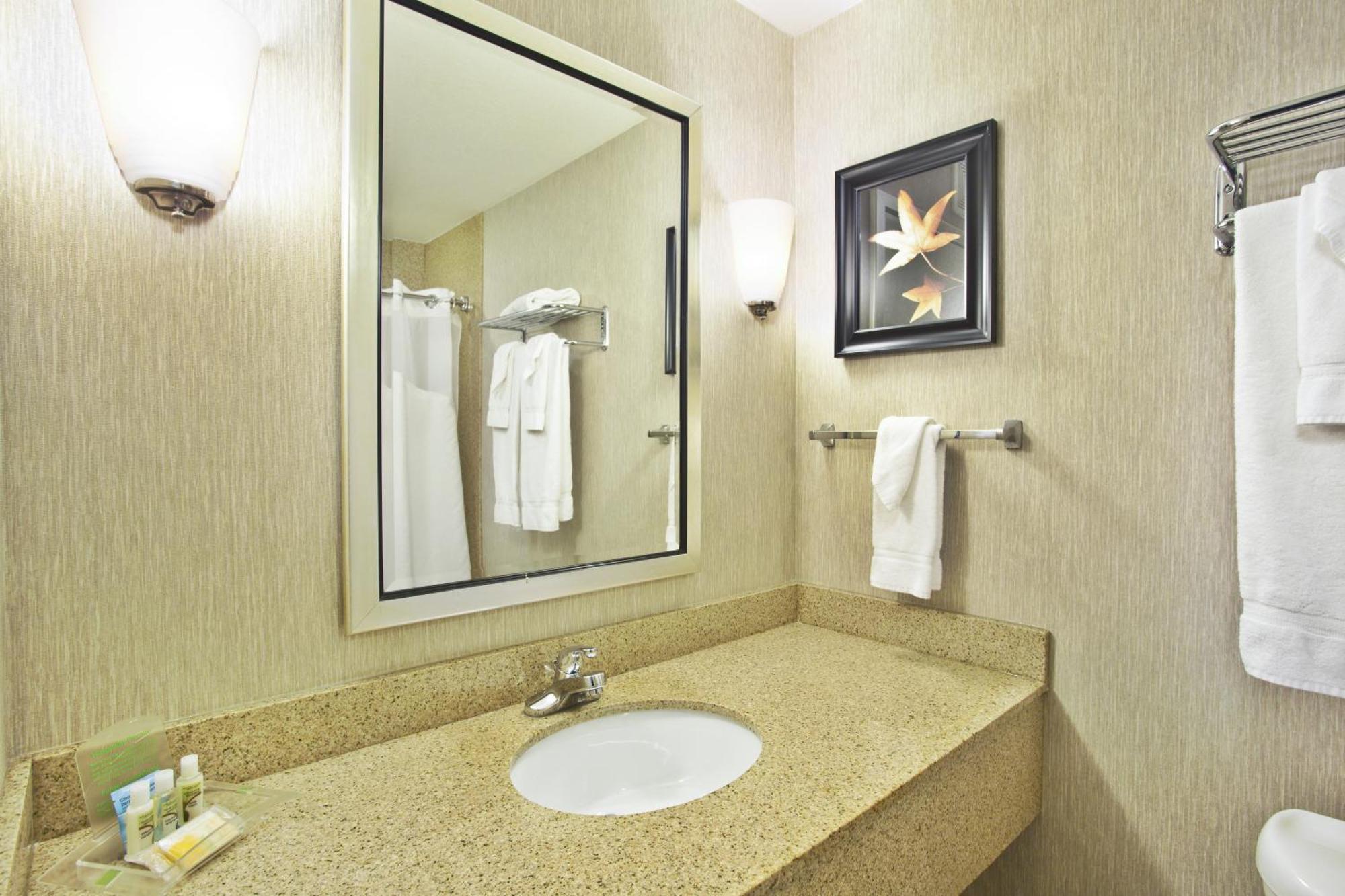 Deluxe King Room Hearing Accessible Bath Tub or Non-Smoking,697926783:JPEG