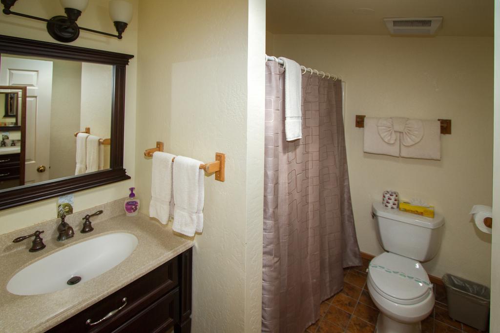 Queen Suite Sofa Bed Pet Friendly