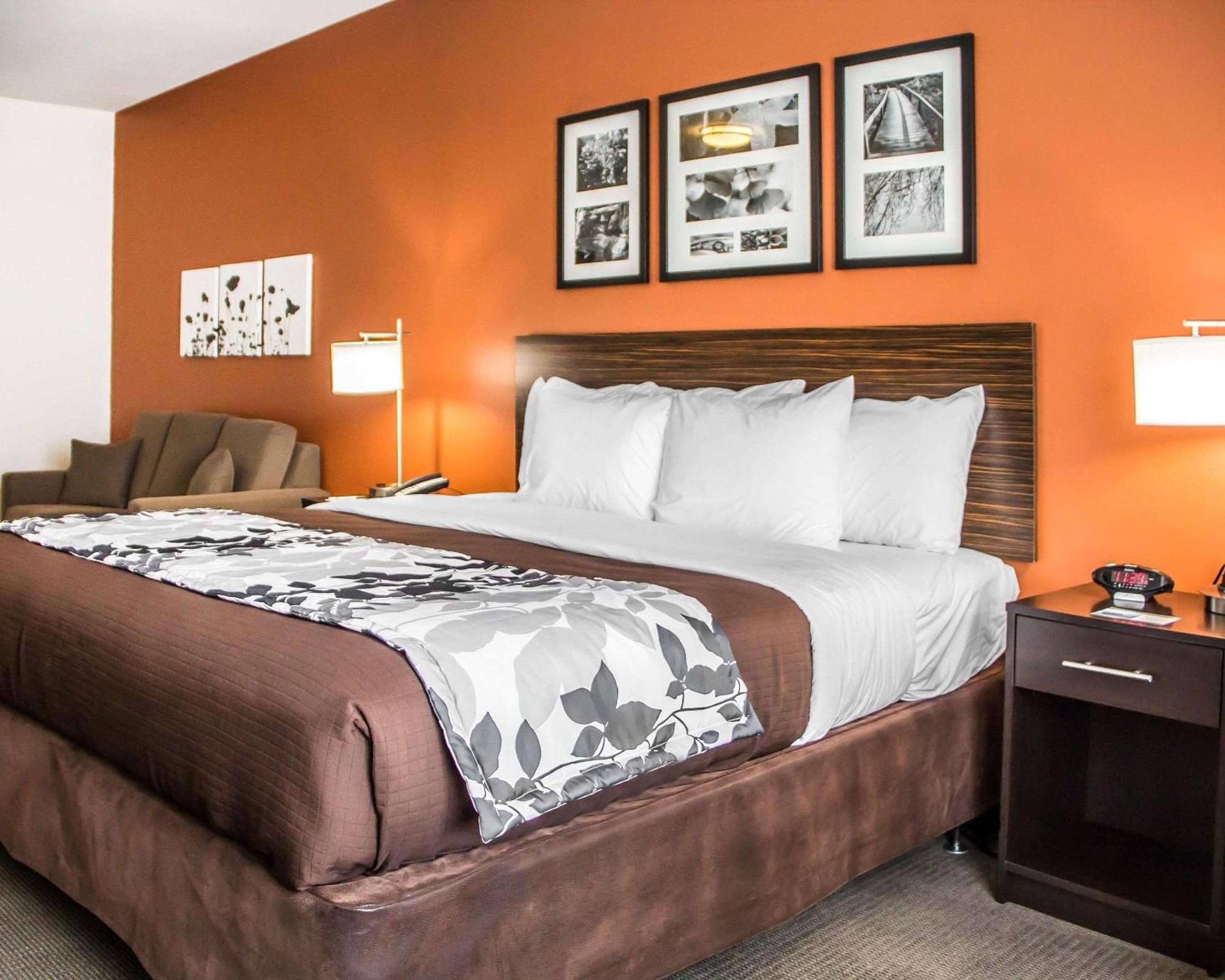 King Suite - Accessible/Non-Smoking
