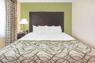 King Room - Pet Friendly/Non-Smoking