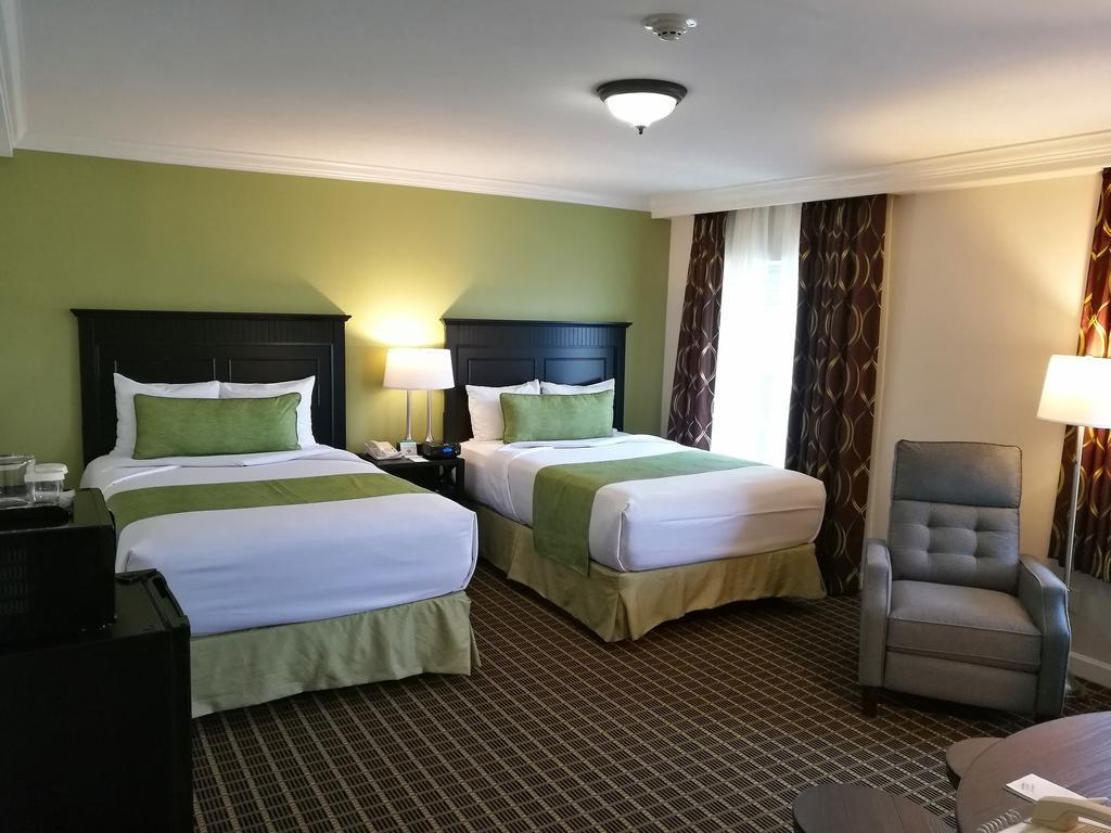 Superior Double Room,971355667:JPEG