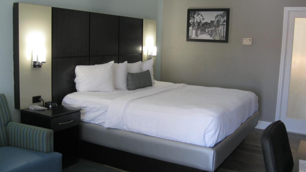King Room Roll Shower Disability Access