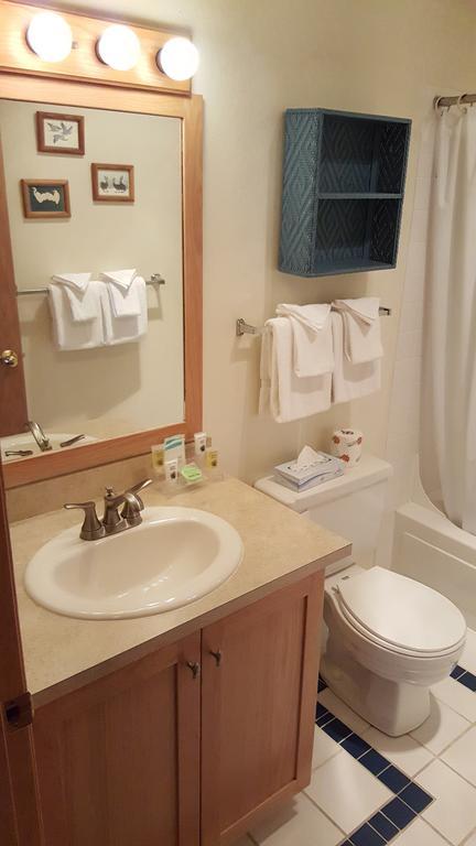 One-Bedroom Apartment Non Pet Friendly