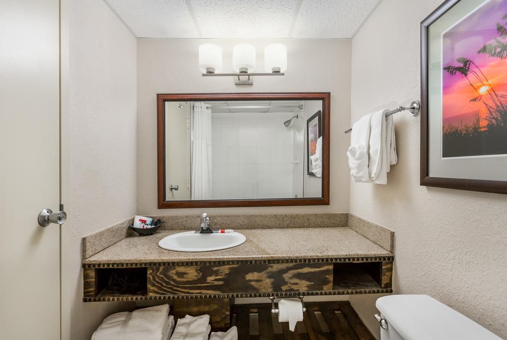 King Room with City View - Mobility Accessible/Pet Friendly - Non-Smoking