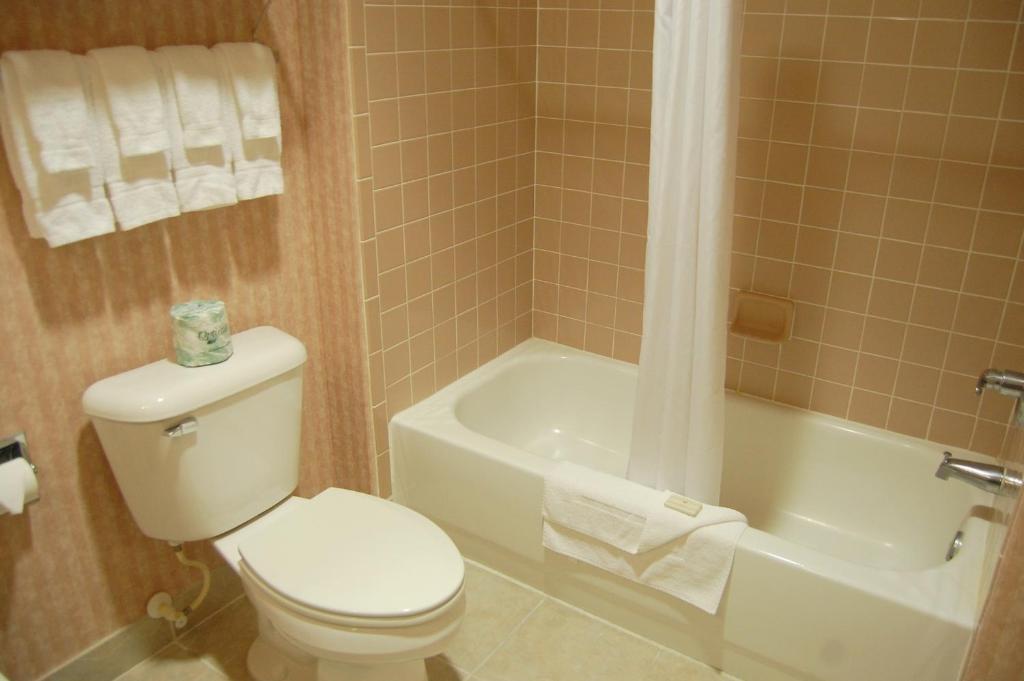 Queen Room with Two Queen Beds,318378161:JPEG