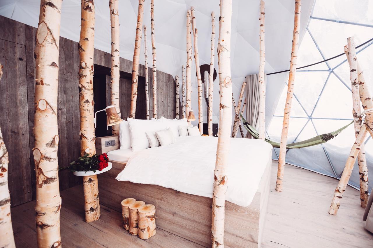 Forest Pod Suite,545998467:JPEG