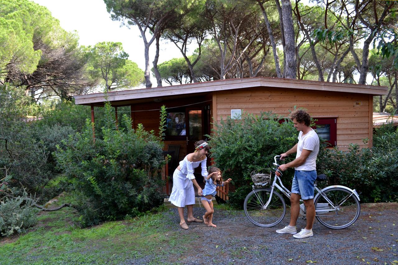 Mobile Home