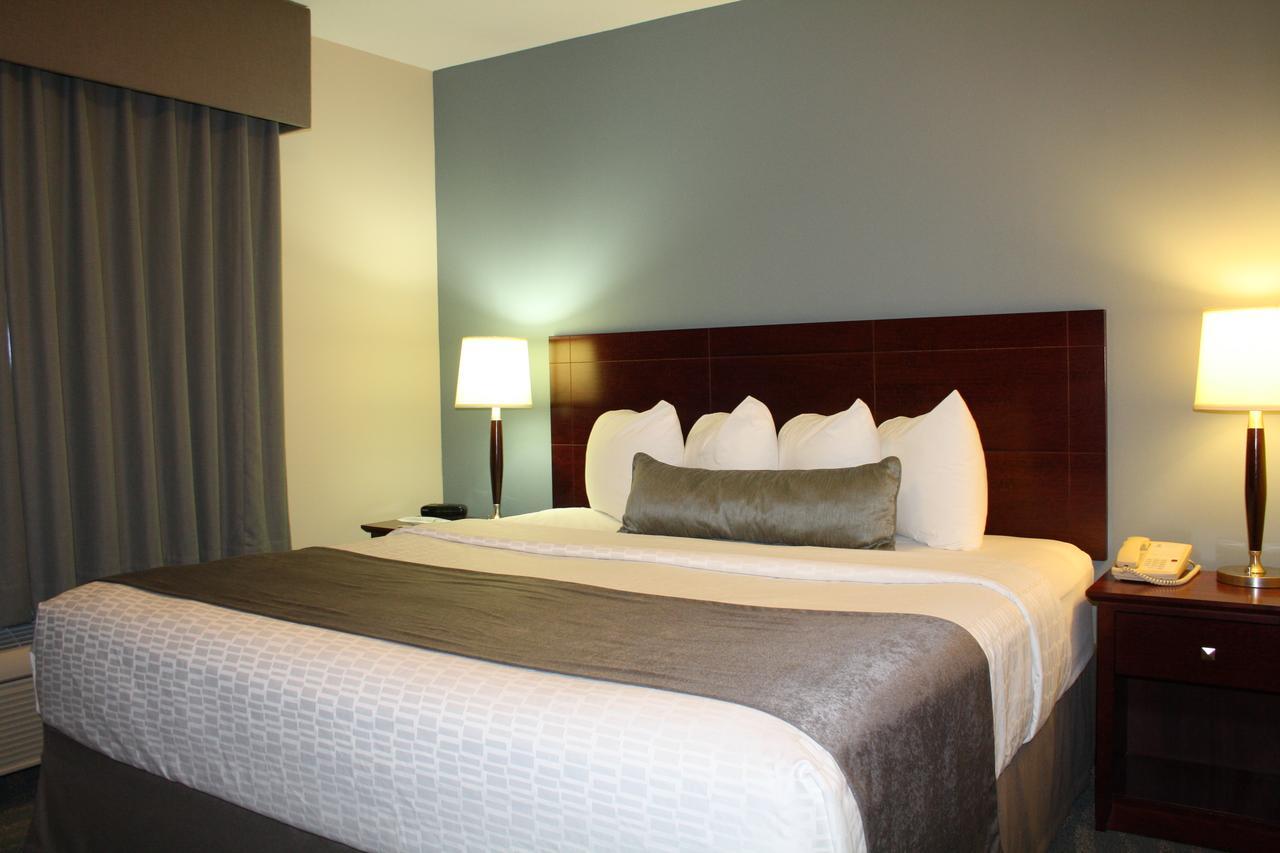 King Suite with Sofa Bed - Non-Smoking