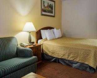 Standard King Room with Sofa Bed - Non Smoking