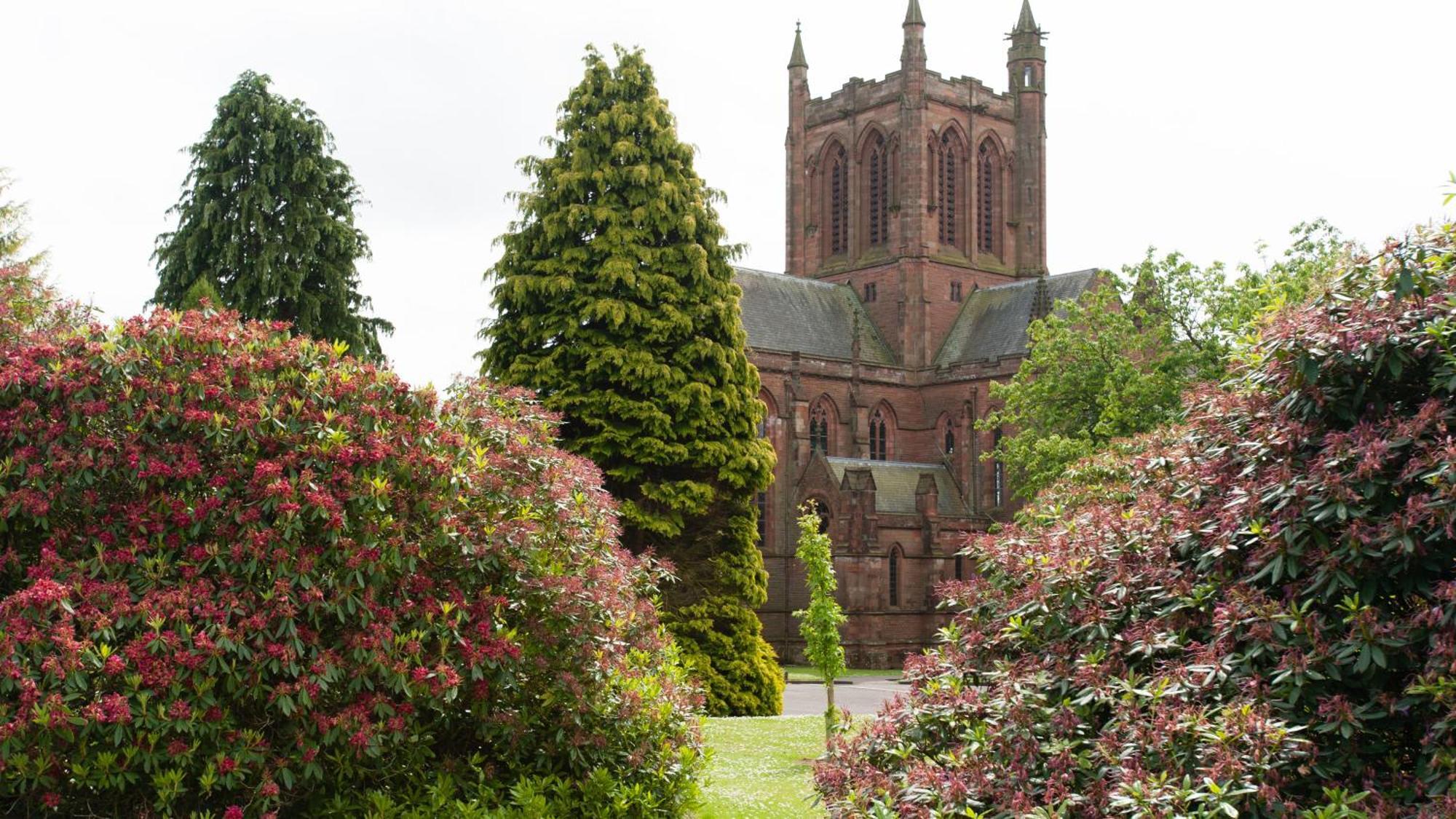 Standard King Room Garden View