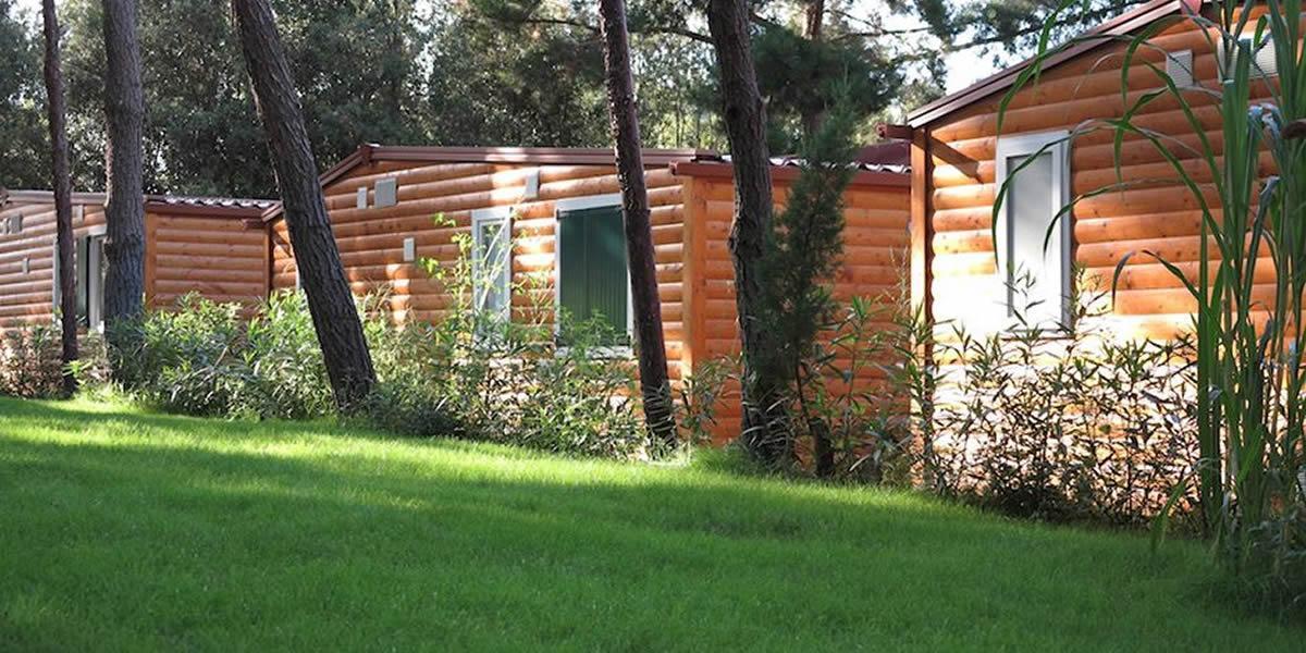 Mobile Home