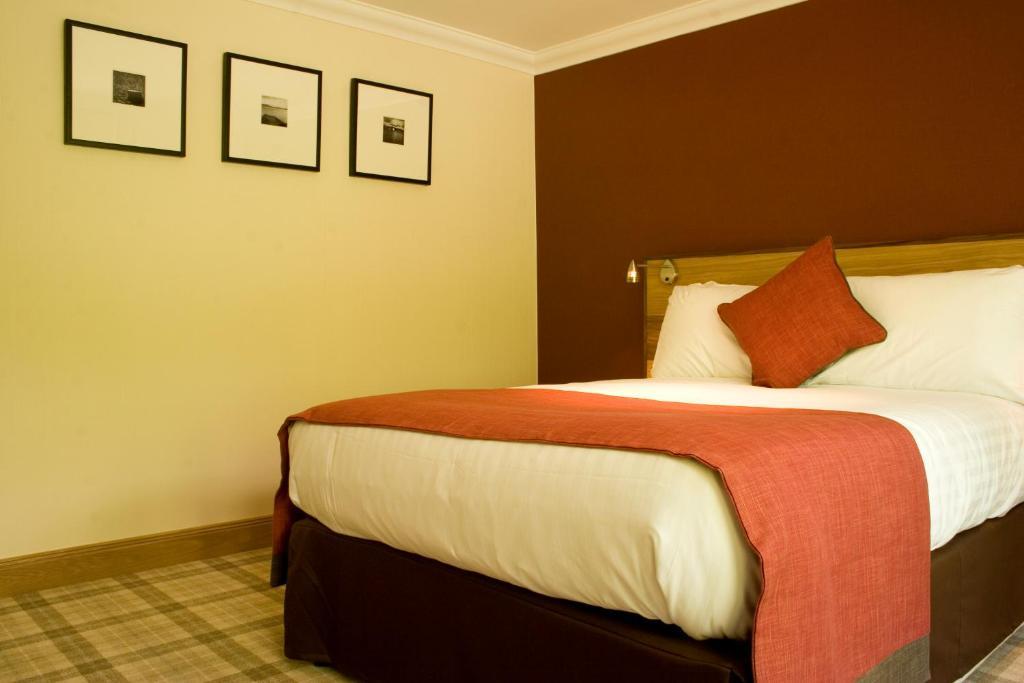 Snug Guest Room